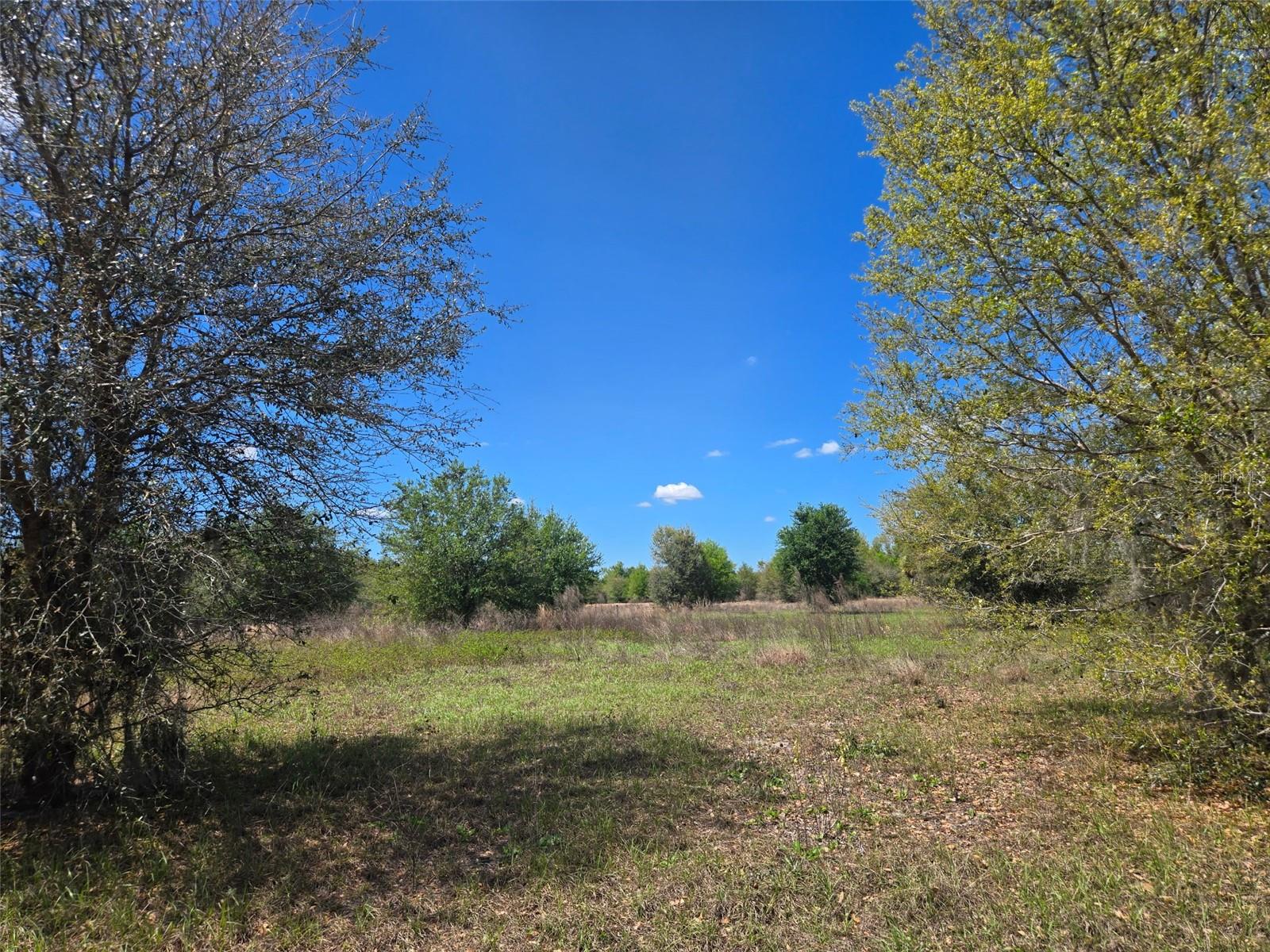 NW 70 HWY NW, ARCADIA, FL, 34266