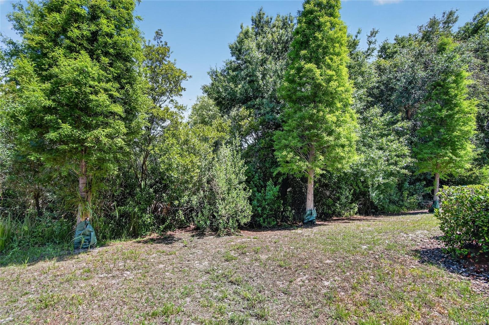 6936 BREEZY PALM DR, RIVERVIEW, FL, 33578