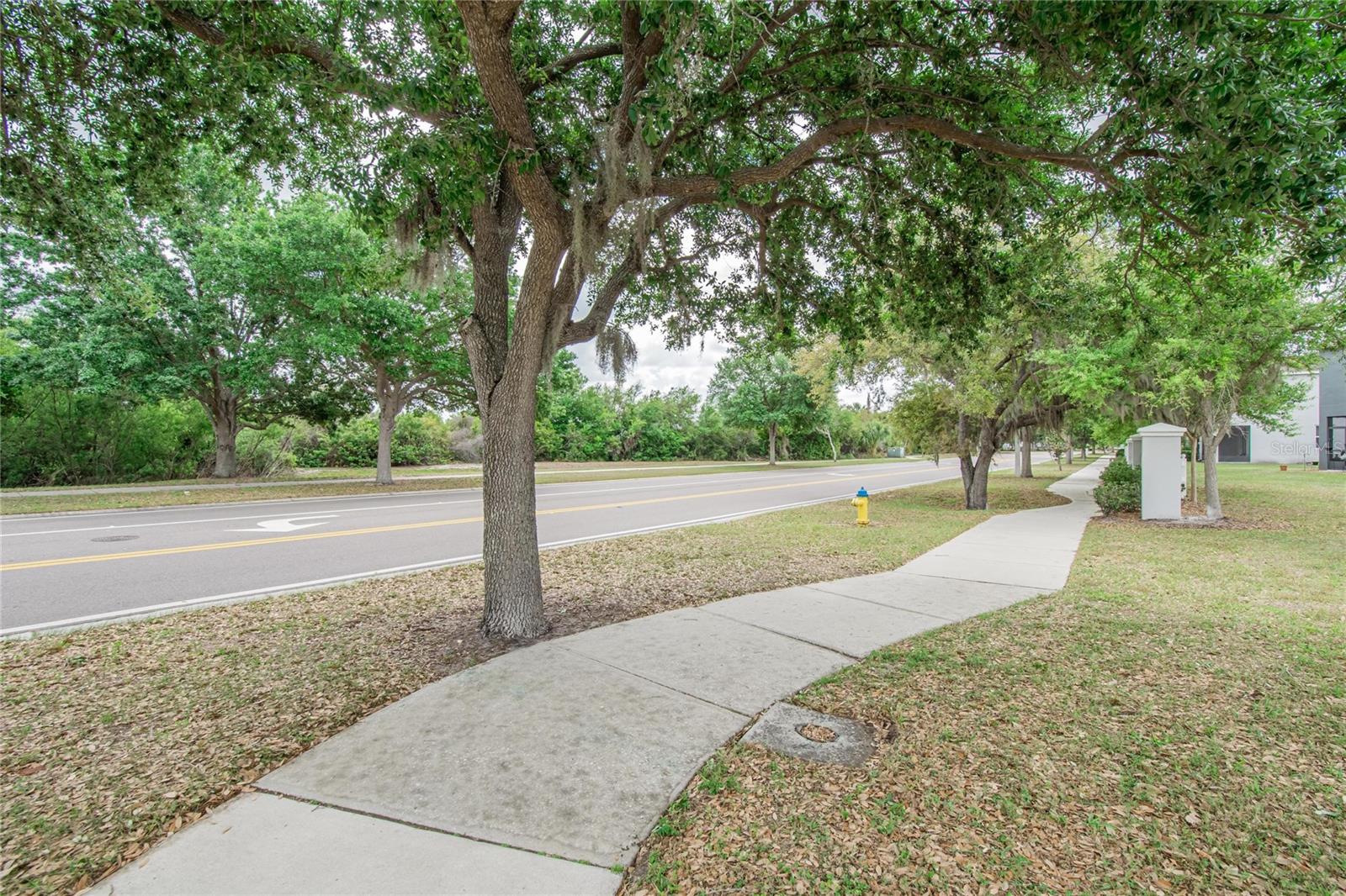 6936 BREEZY PALM DR, RIVERVIEW, FL, 33578