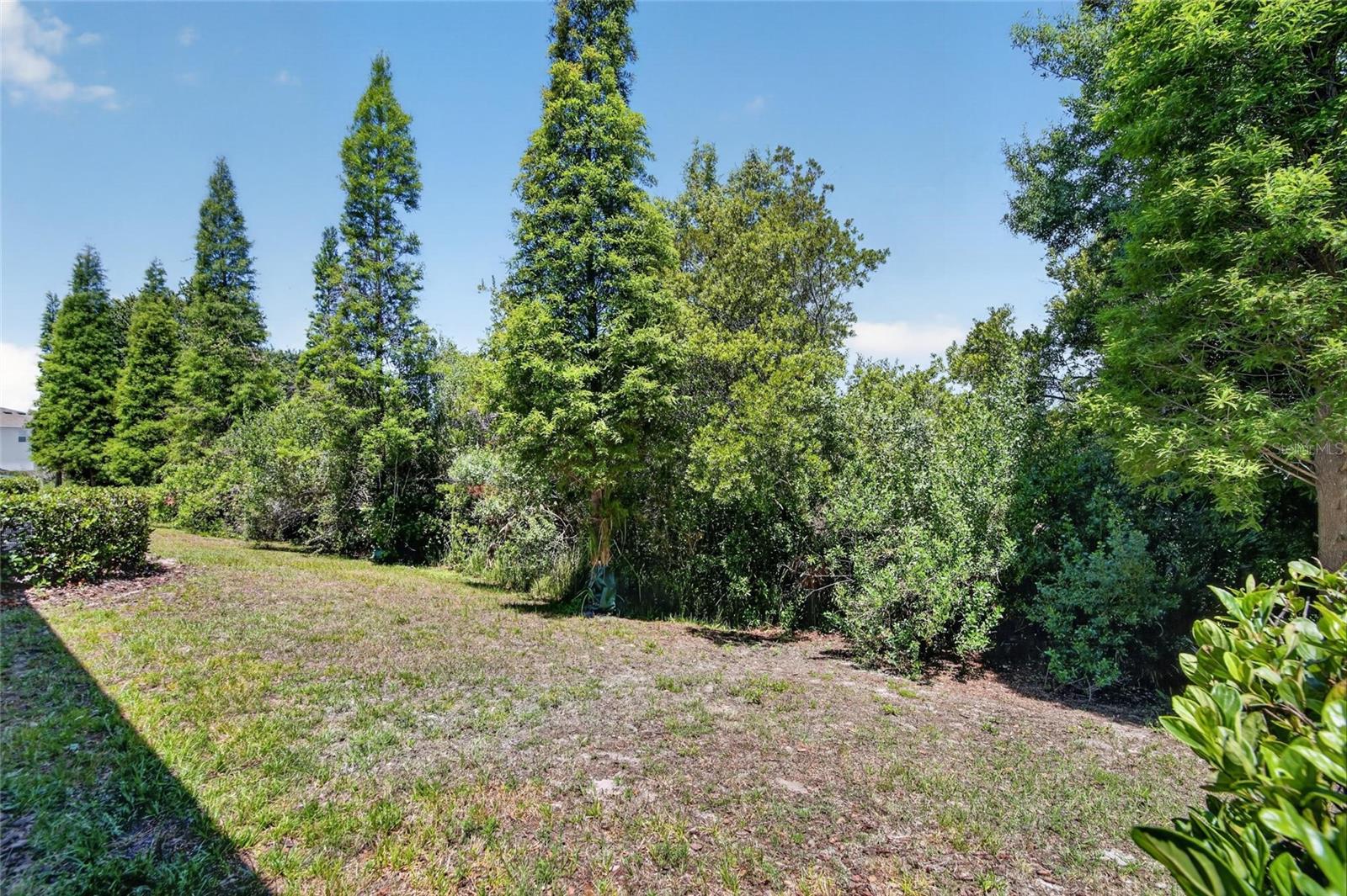 6936 BREEZY PALM DR, RIVERVIEW, FL, 33578