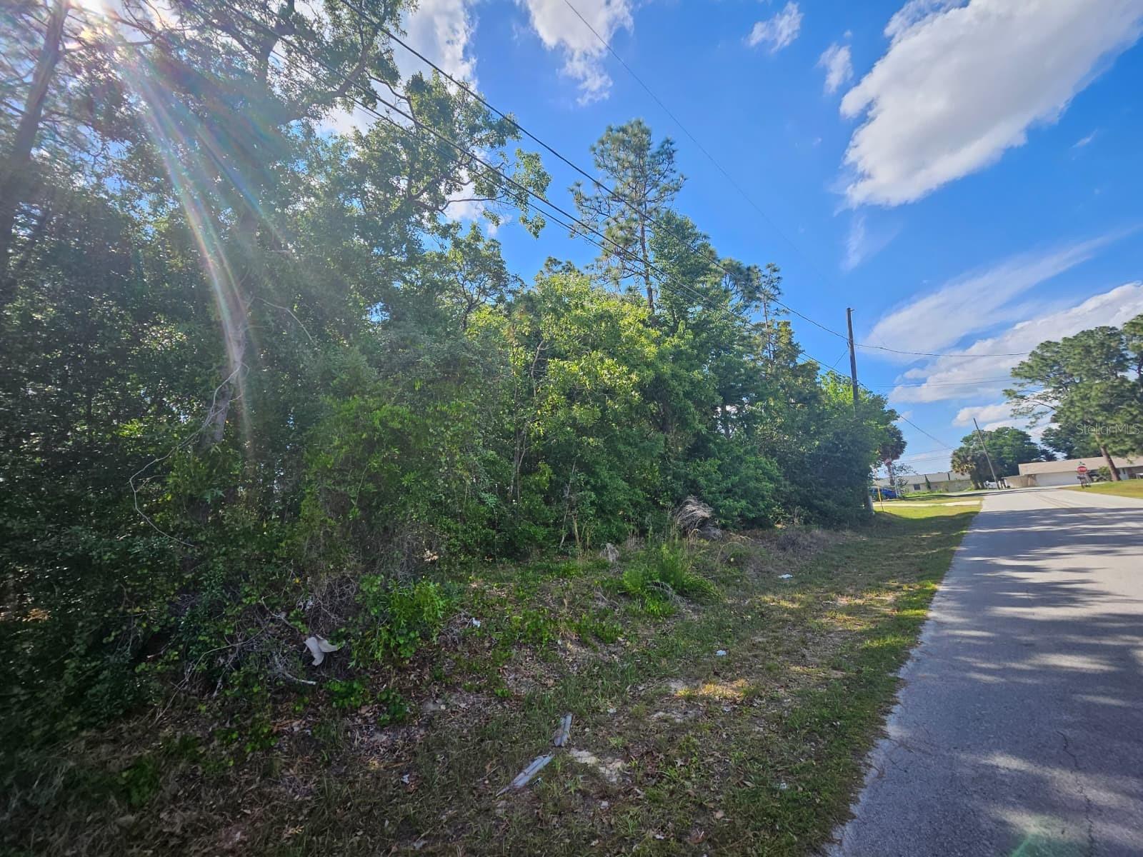 SE 89TH TER, BELLEVIEW, FL, 34420