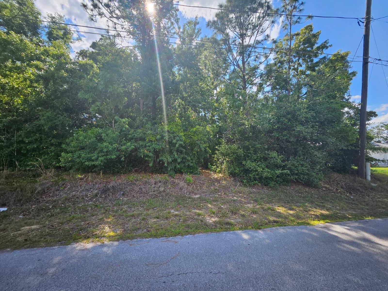 SE 89TH TER, BELLEVIEW, FL, 34420