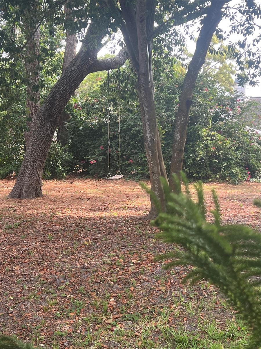 4443 GLENBROOK LN, PALM HARBOR, FL, 34683