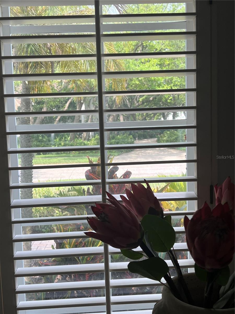 4443 GLENBROOK LN, PALM HARBOR, FL, 34683
