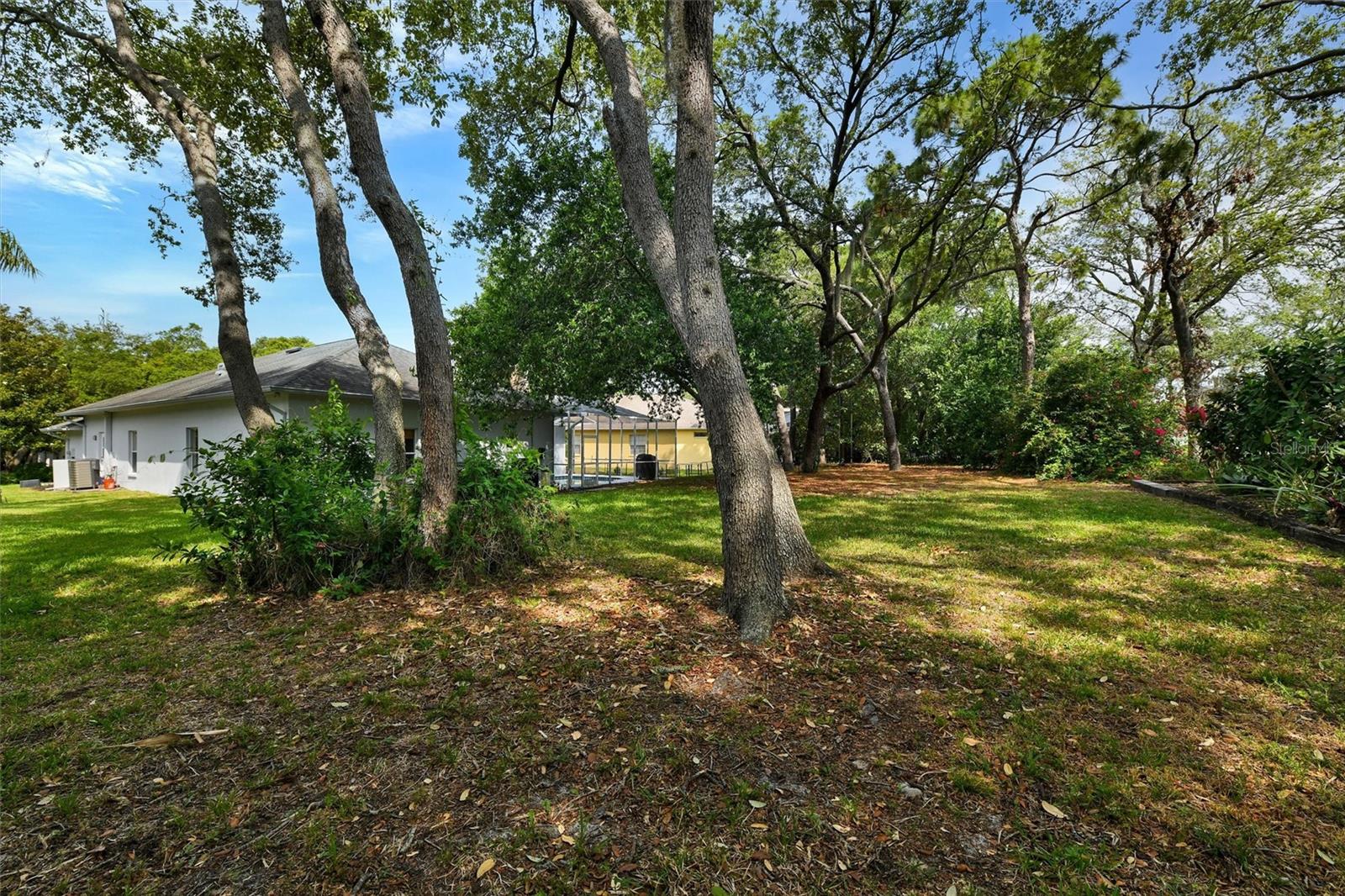 4443 GLENBROOK LN, PALM HARBOR, FL, 34683