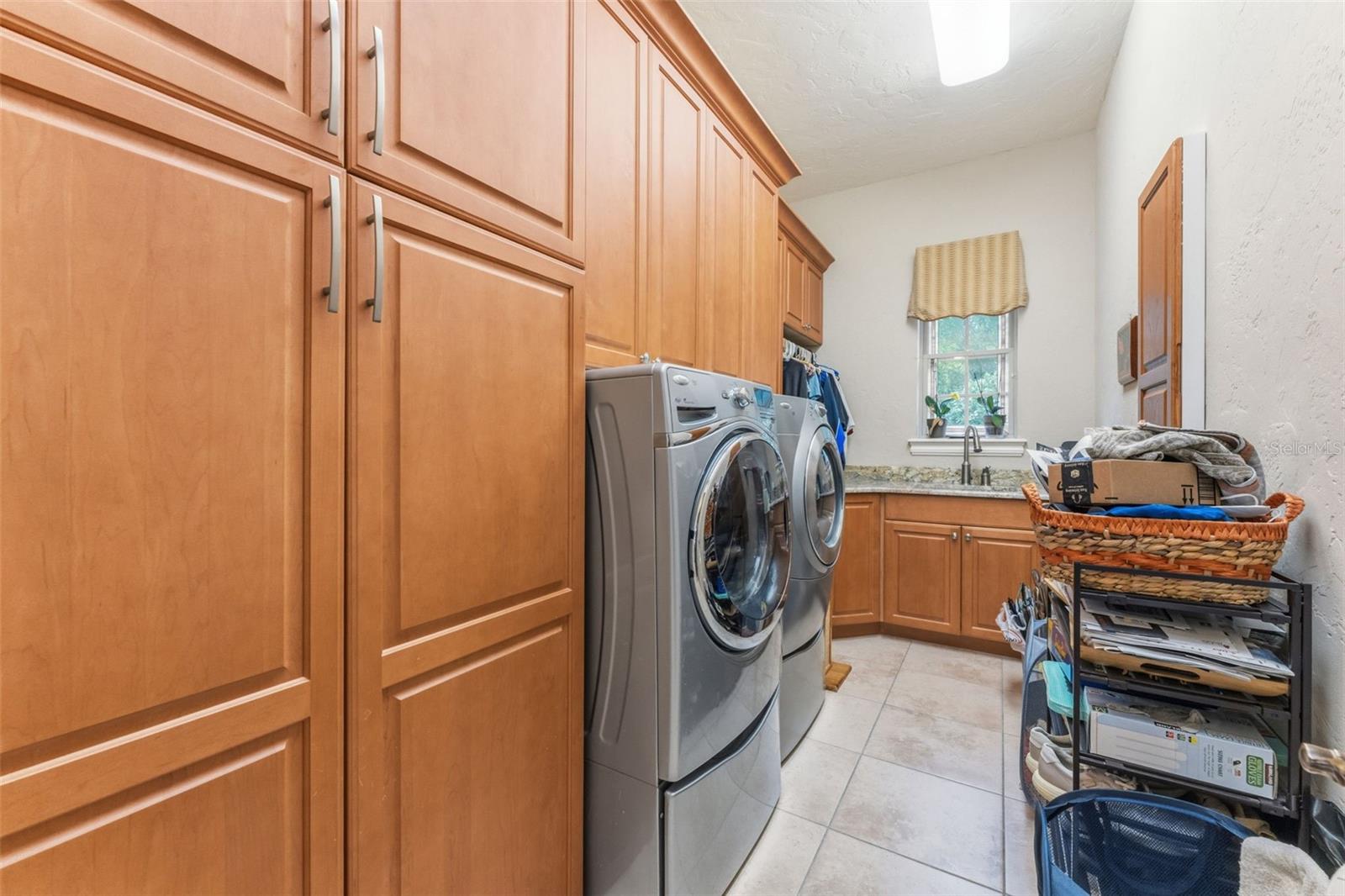18901 LAKES EDGE WAY, ODESSA, FL, 33556