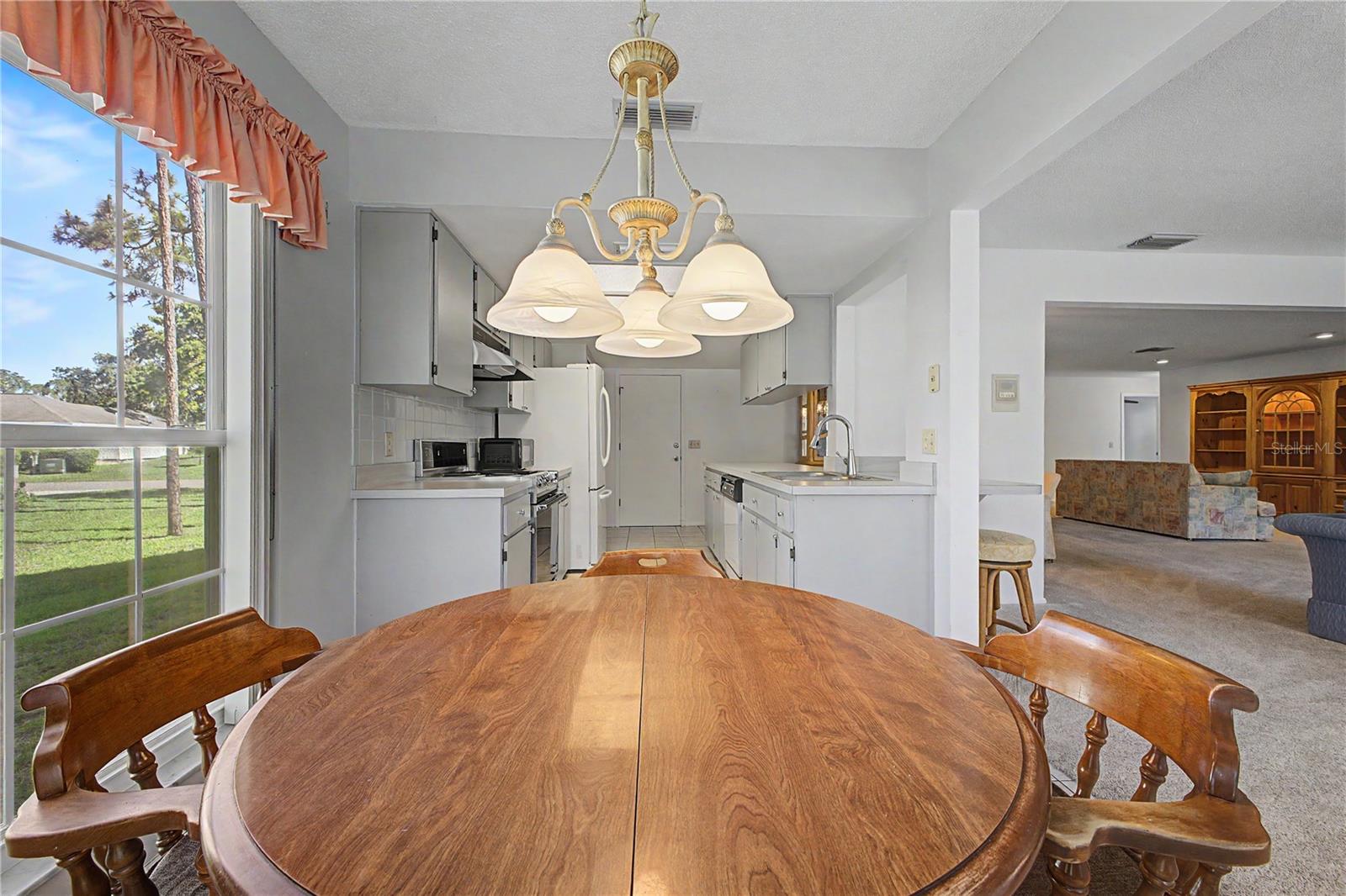 7088 CROWN OAKS DR, SPRING HILL, FL, 34606