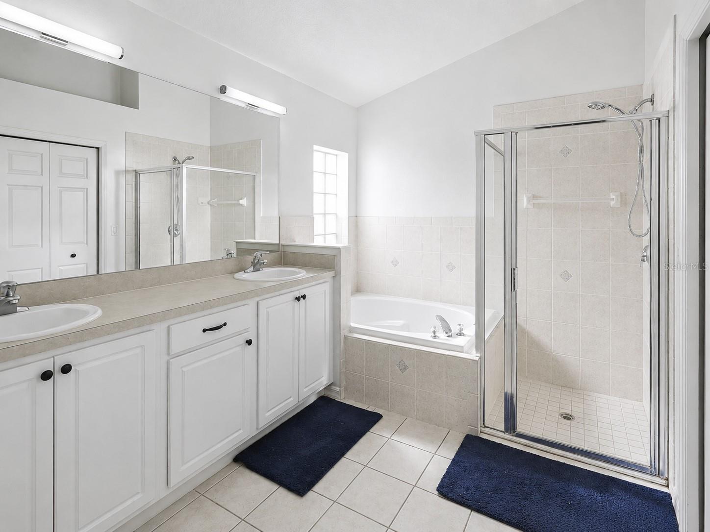 10424 STONEPARK DRIVE DR, LEESBURG, FL, 34788