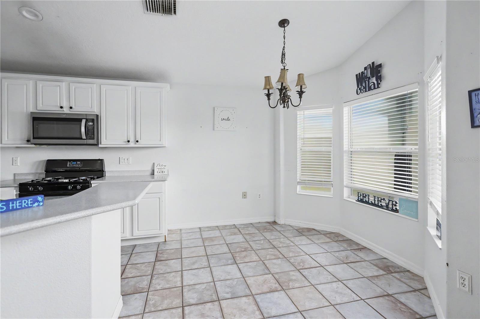 10424 STONEPARK DRIVE DR, LEESBURG, FL, 34788