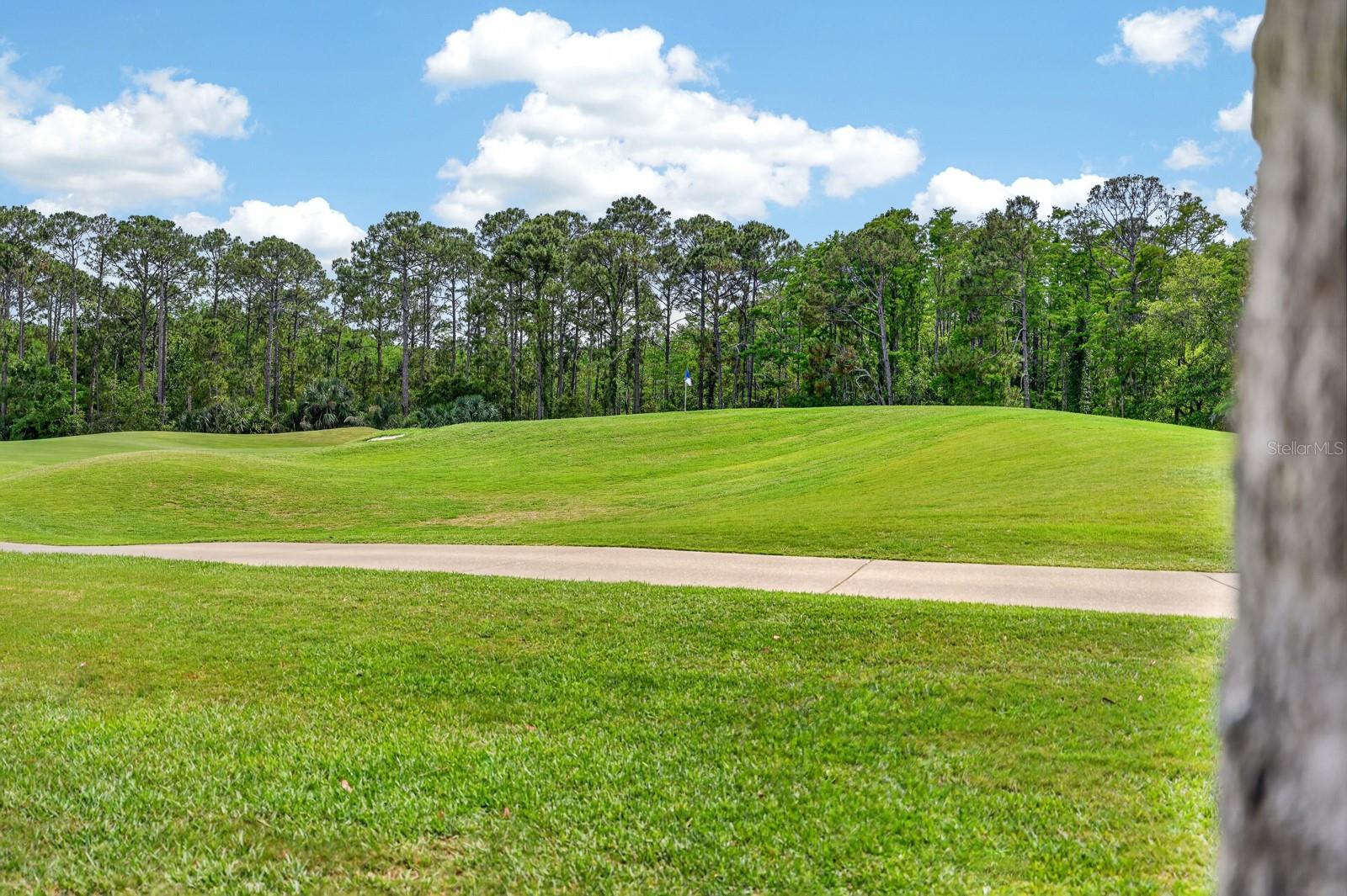 41 BAY POINTE DR, ORMOND BEACH, FL, 32174