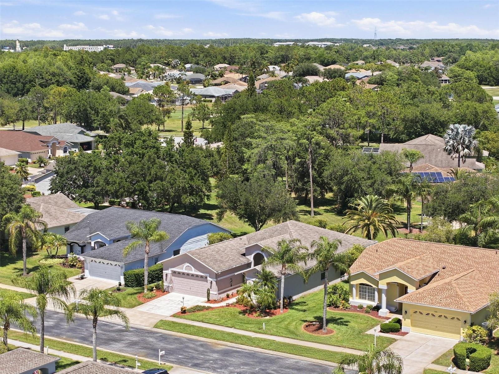 1430 CANBERLEY CT, TRINITY, FL, 34655