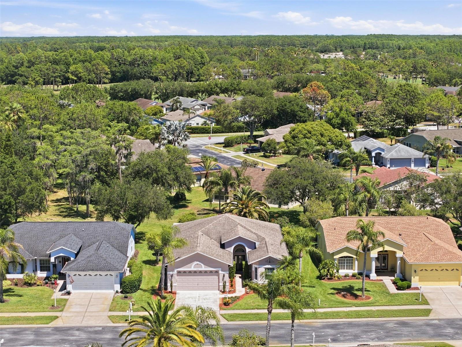 1430 CANBERLEY CT, TRINITY, FL, 34655