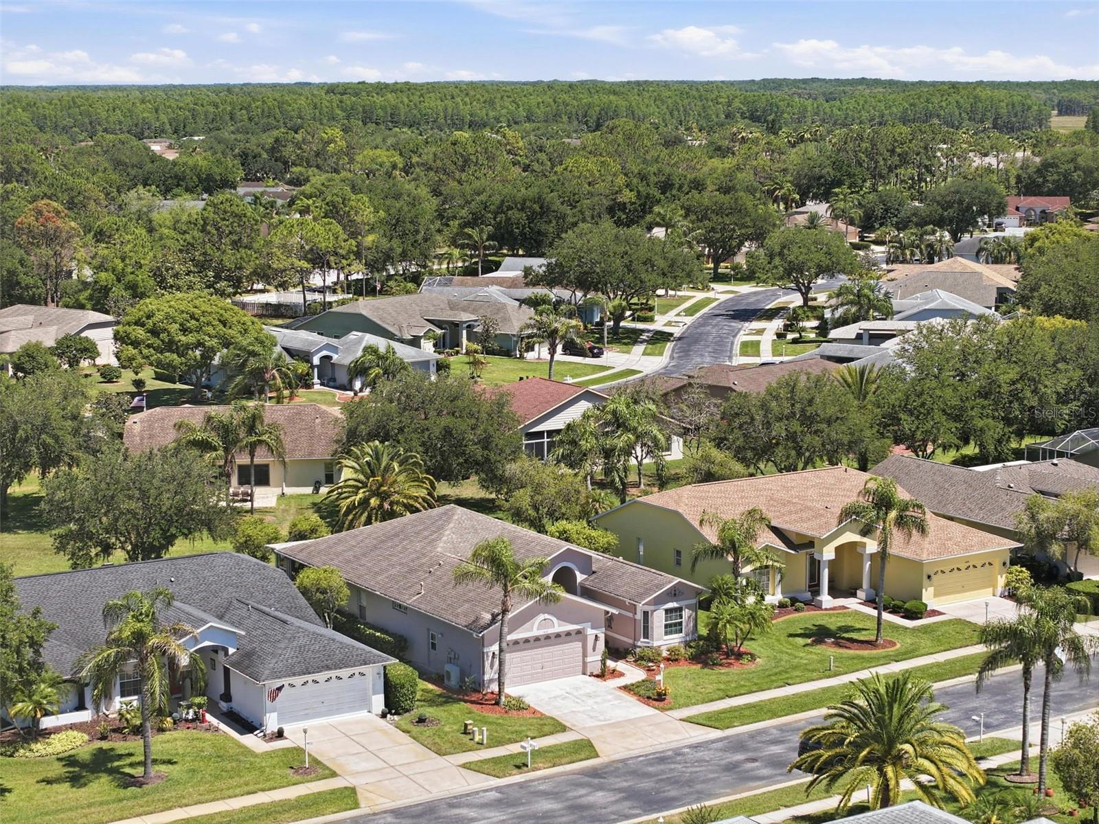 1430 CANBERLEY CT, TRINITY, FL, 34655