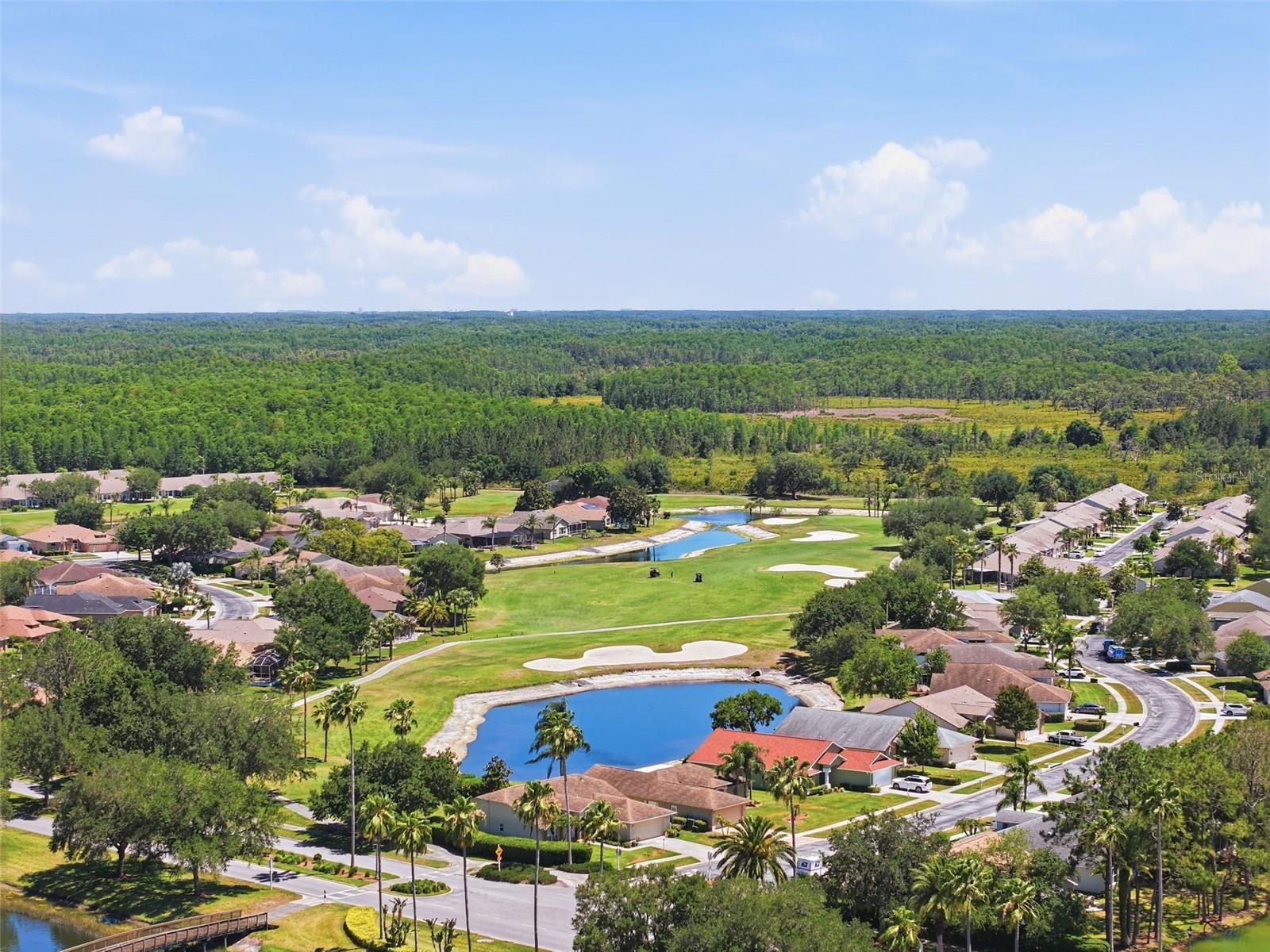 1430 CANBERLEY CT, TRINITY, FL, 34655