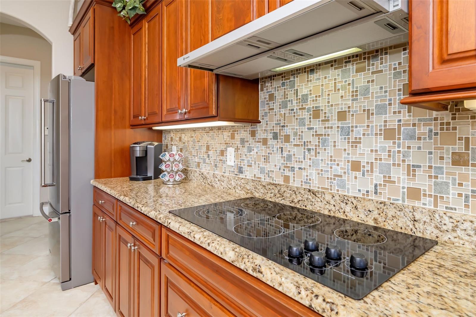 11427 SAVANNAH LAKES DR, PARRISH, FL, 34219