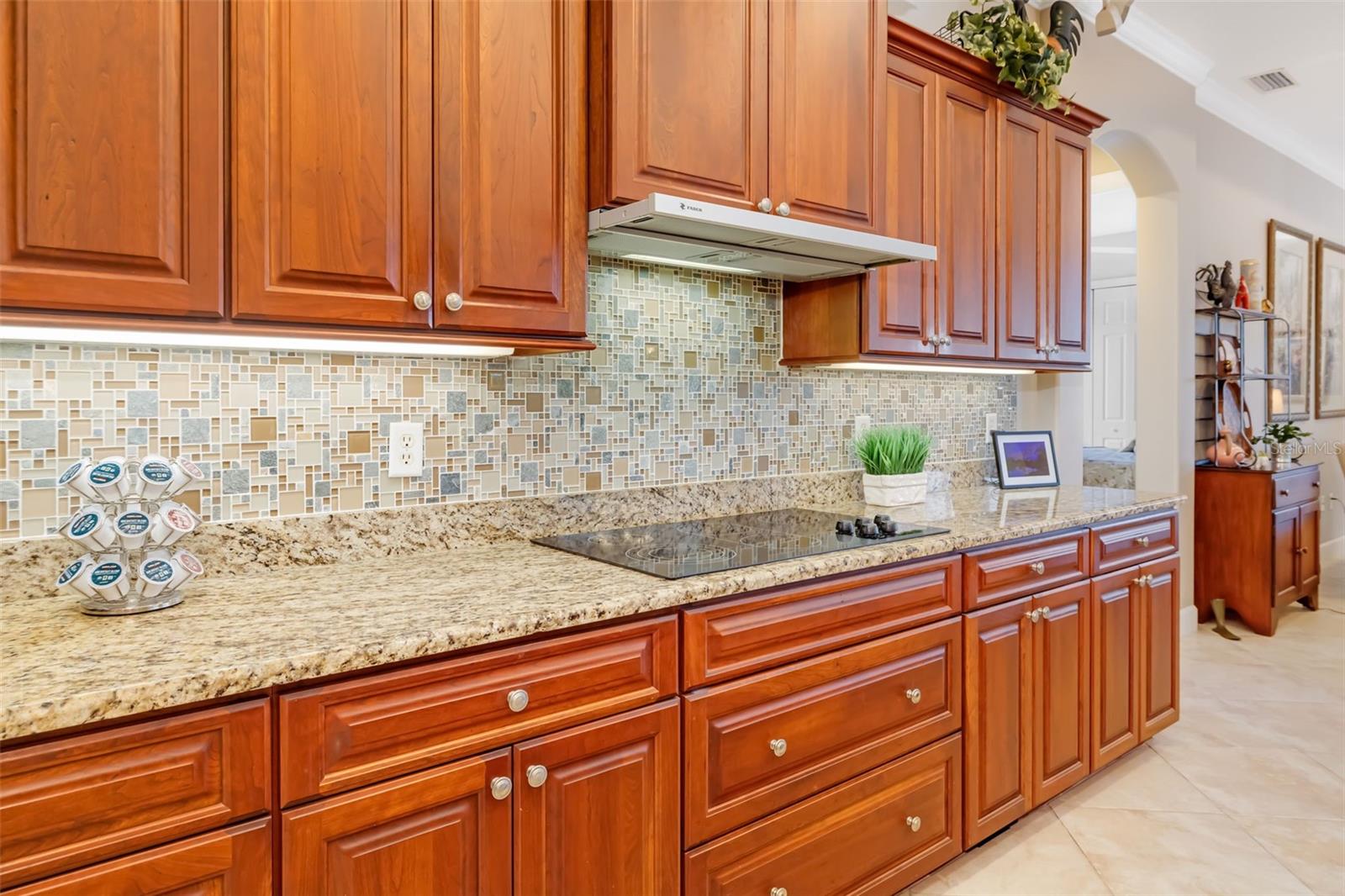 11427 SAVANNAH LAKES DR, PARRISH, FL, 34219