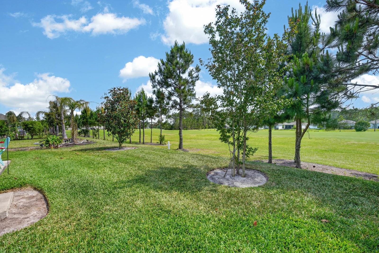 760 GRAND RESERVE DR, BUNNELL, FL, 32110