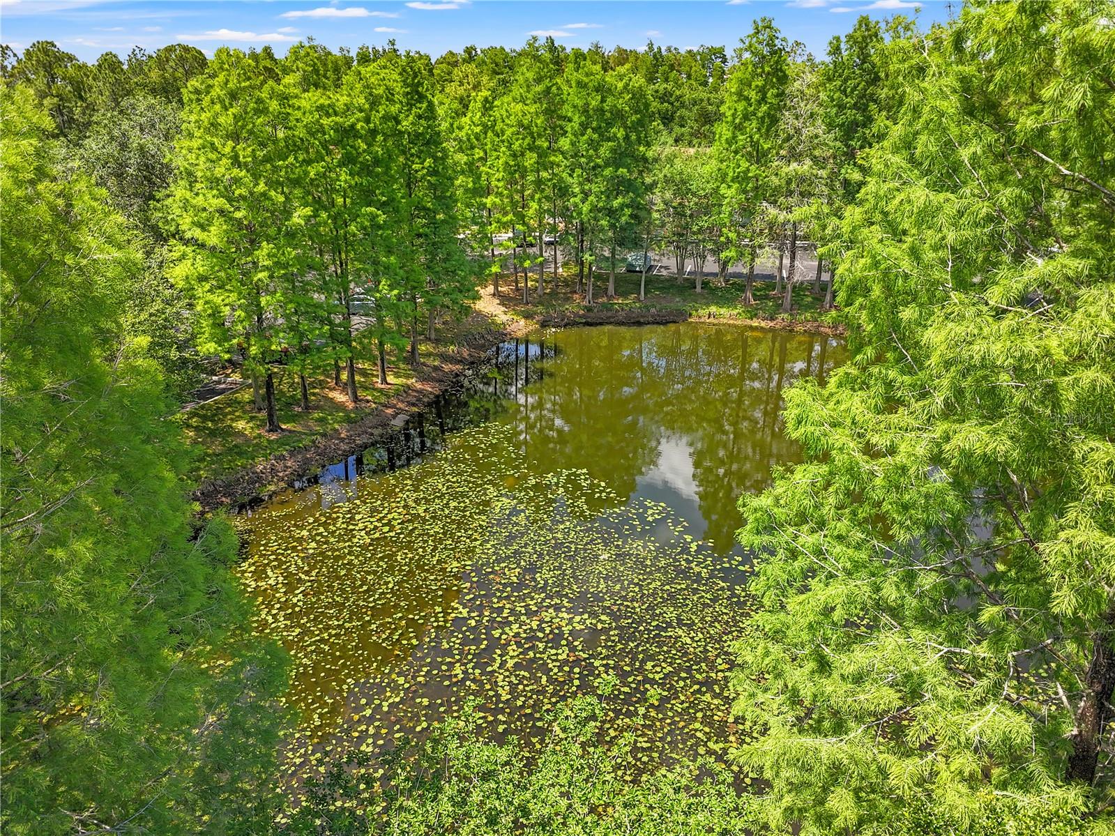 8635 HUNTERS KEY CIR, TAMPA, FL, 33647