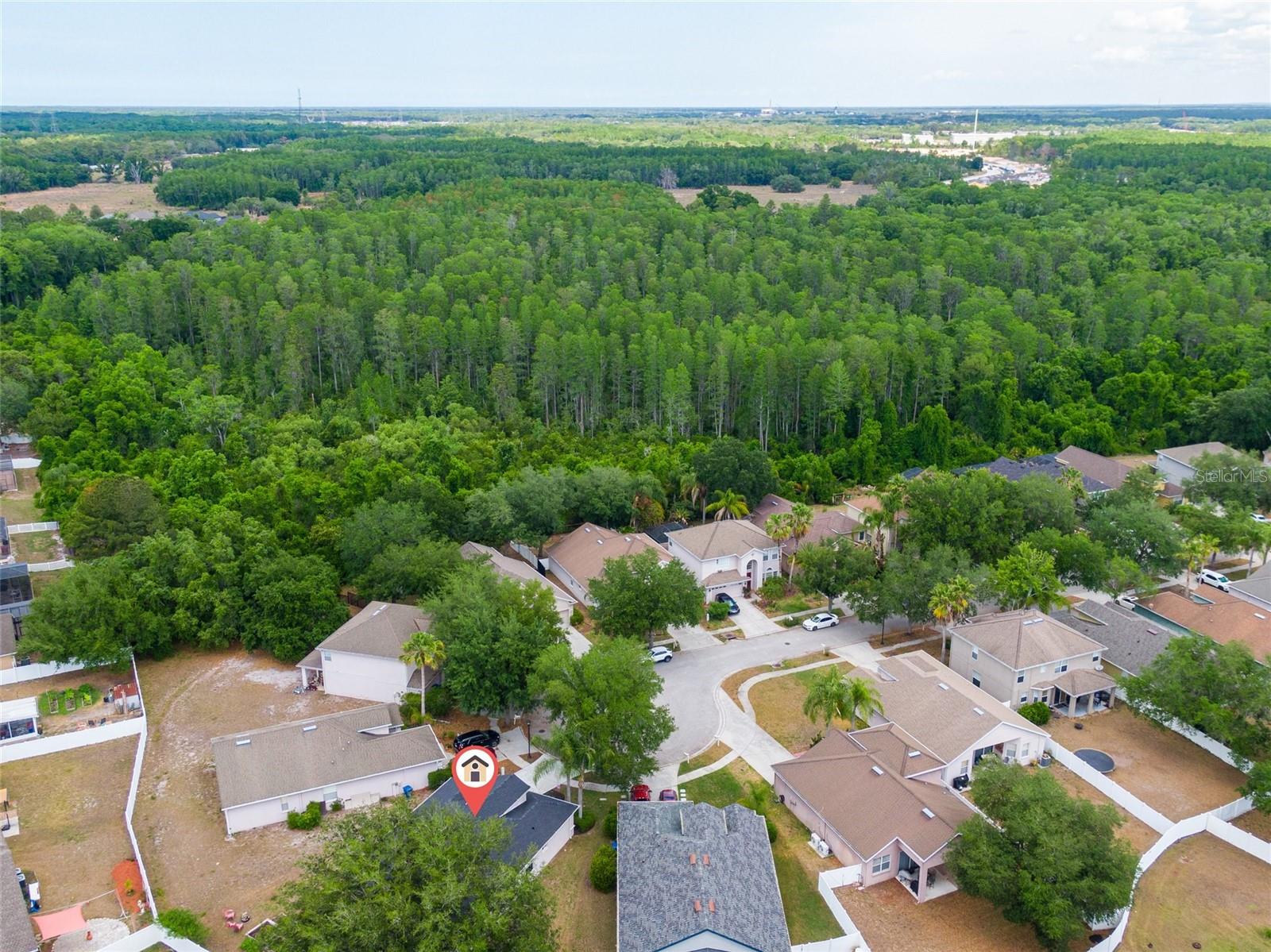 15406 PEPPER PINE CT, LAND O LAKES, FL, 34638
