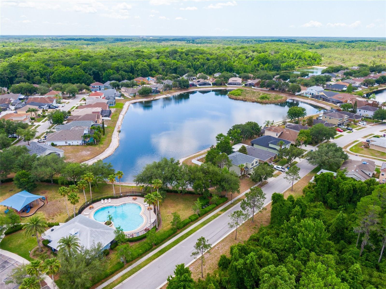 15406 PEPPER PINE CT, LAND O LAKES, FL, 34638