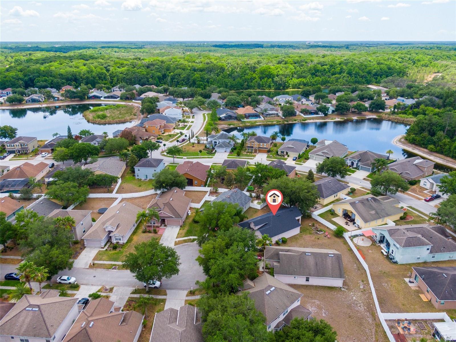 15406 PEPPER PINE CT, LAND O LAKES, FL, 34638