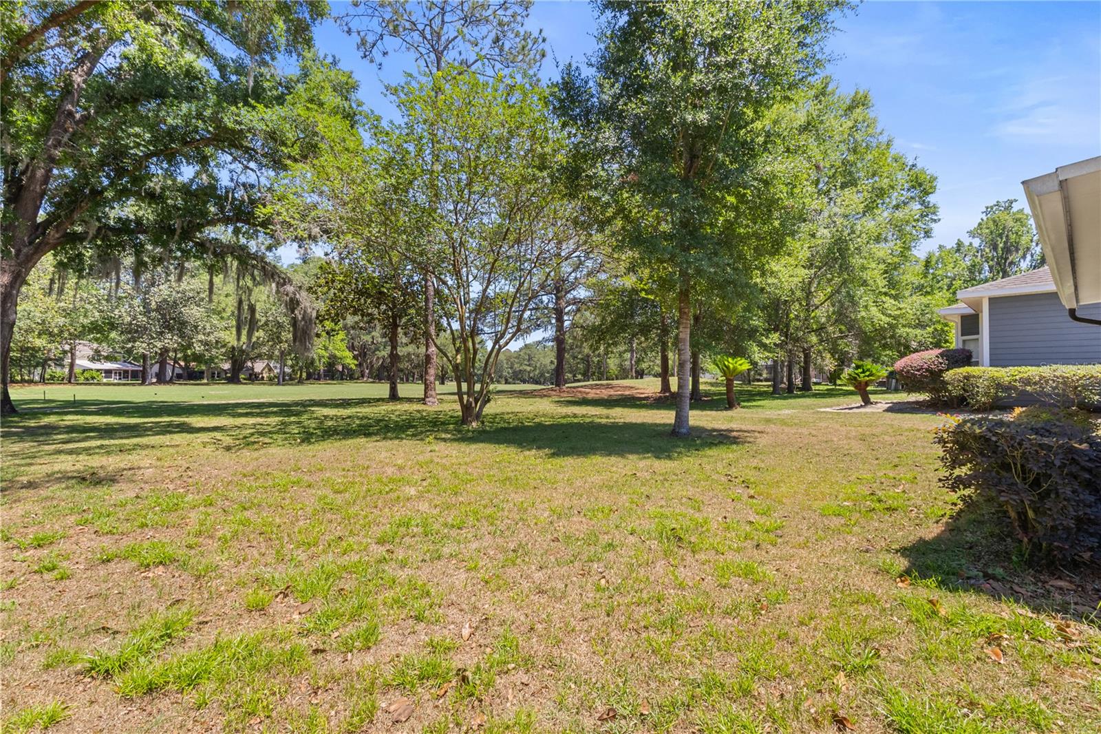 11801 NW 72ND TER, ALACHUA, FL, 32615
