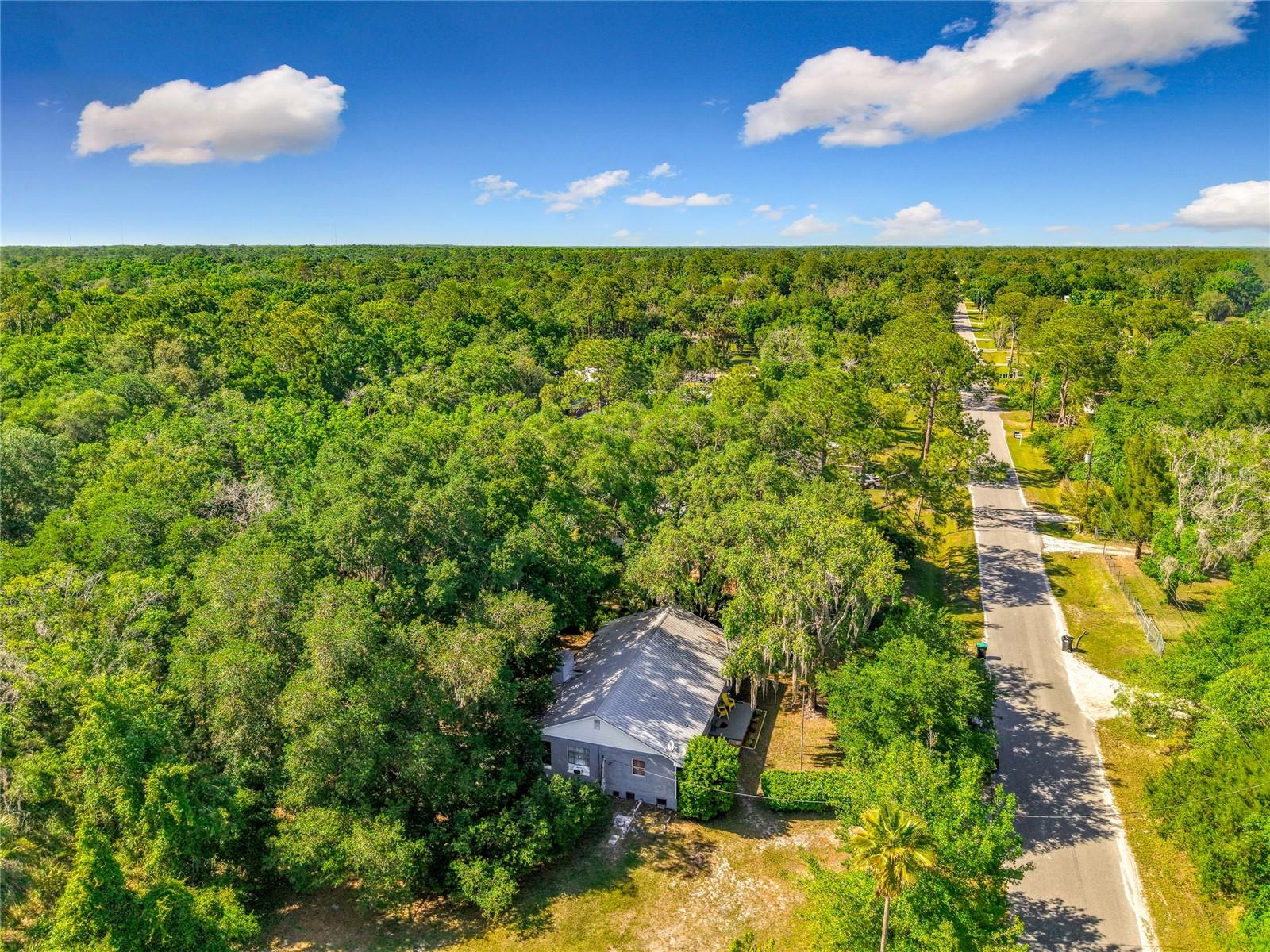 1338 SAINT NICHOLAS AVE, CHRISTMAS, FL, 32709