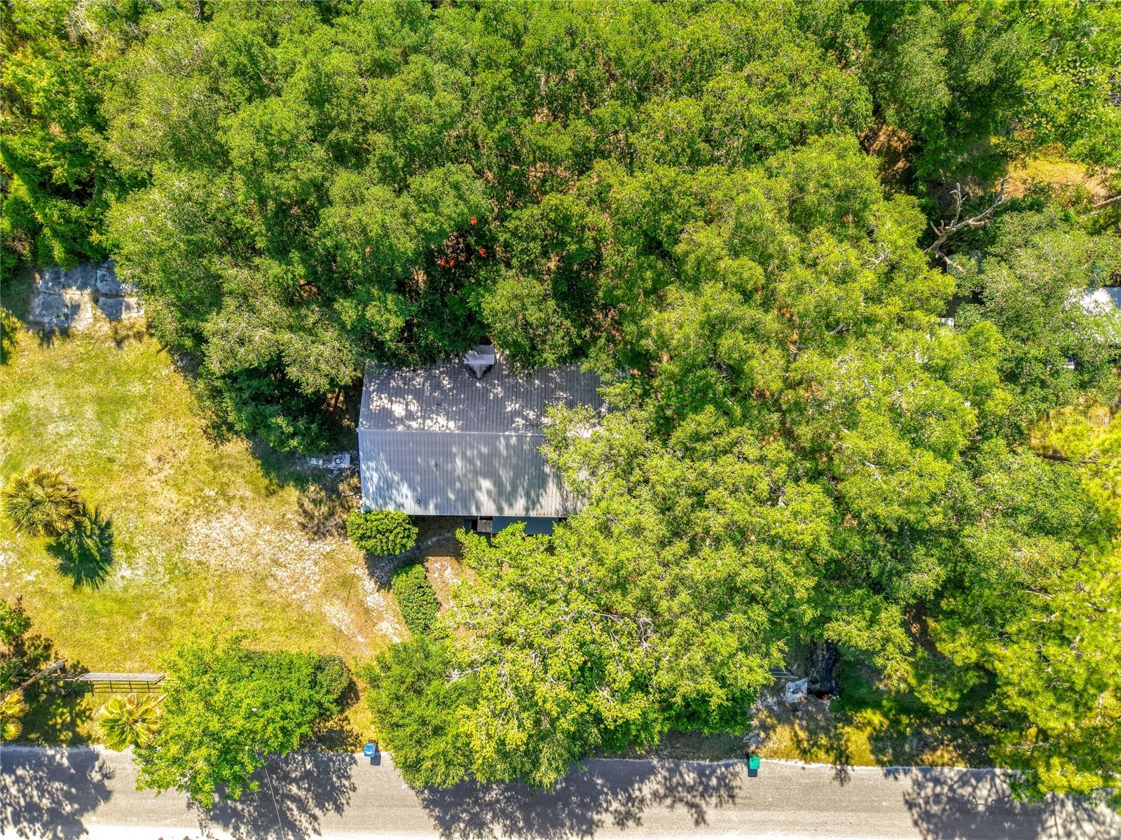 1338 SAINT NICHOLAS AVE, CHRISTMAS, FL, 32709
