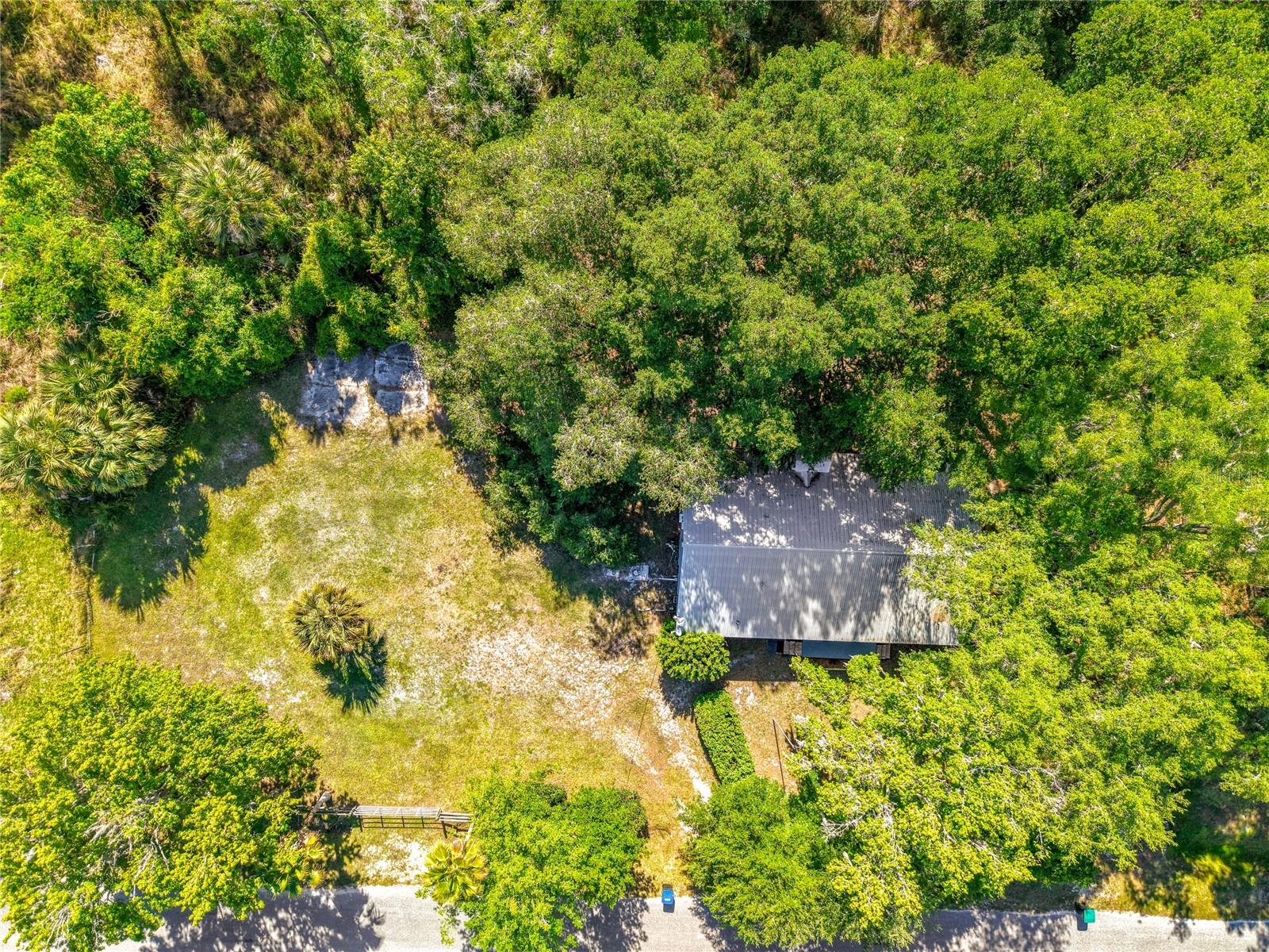 1338 SAINT NICHOLAS AVE, CHRISTMAS, FL, 32709