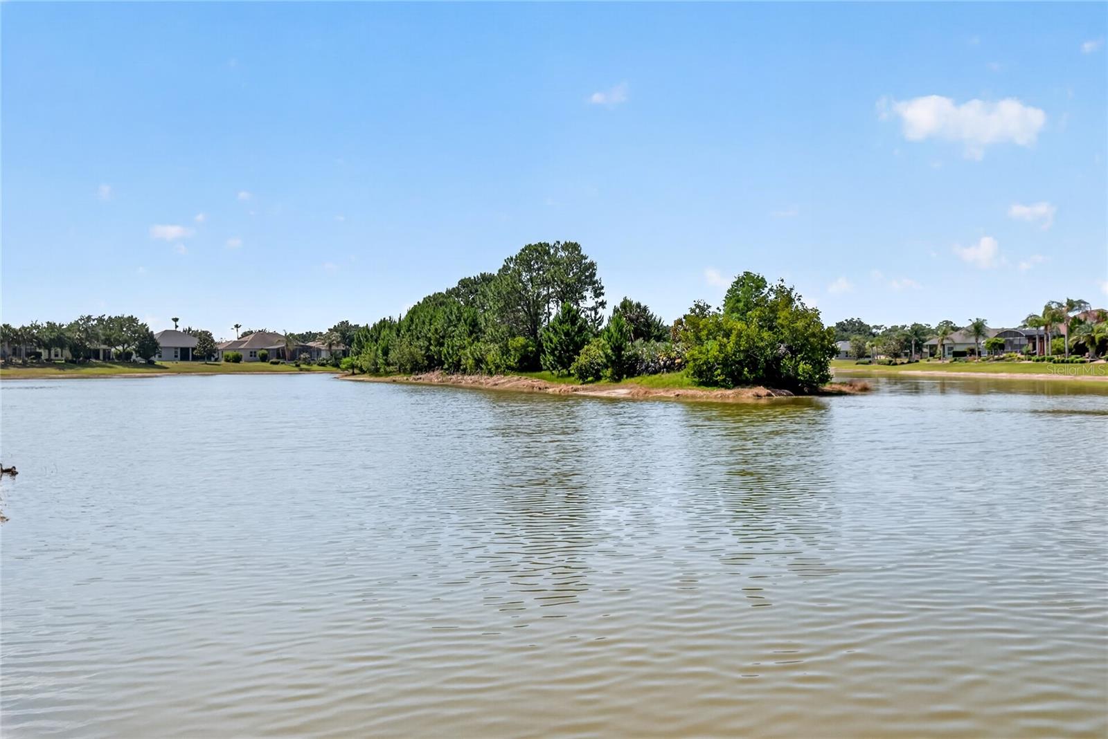 2327 WAKEFIELD WAY, MOUNT DORA, FL, 32757