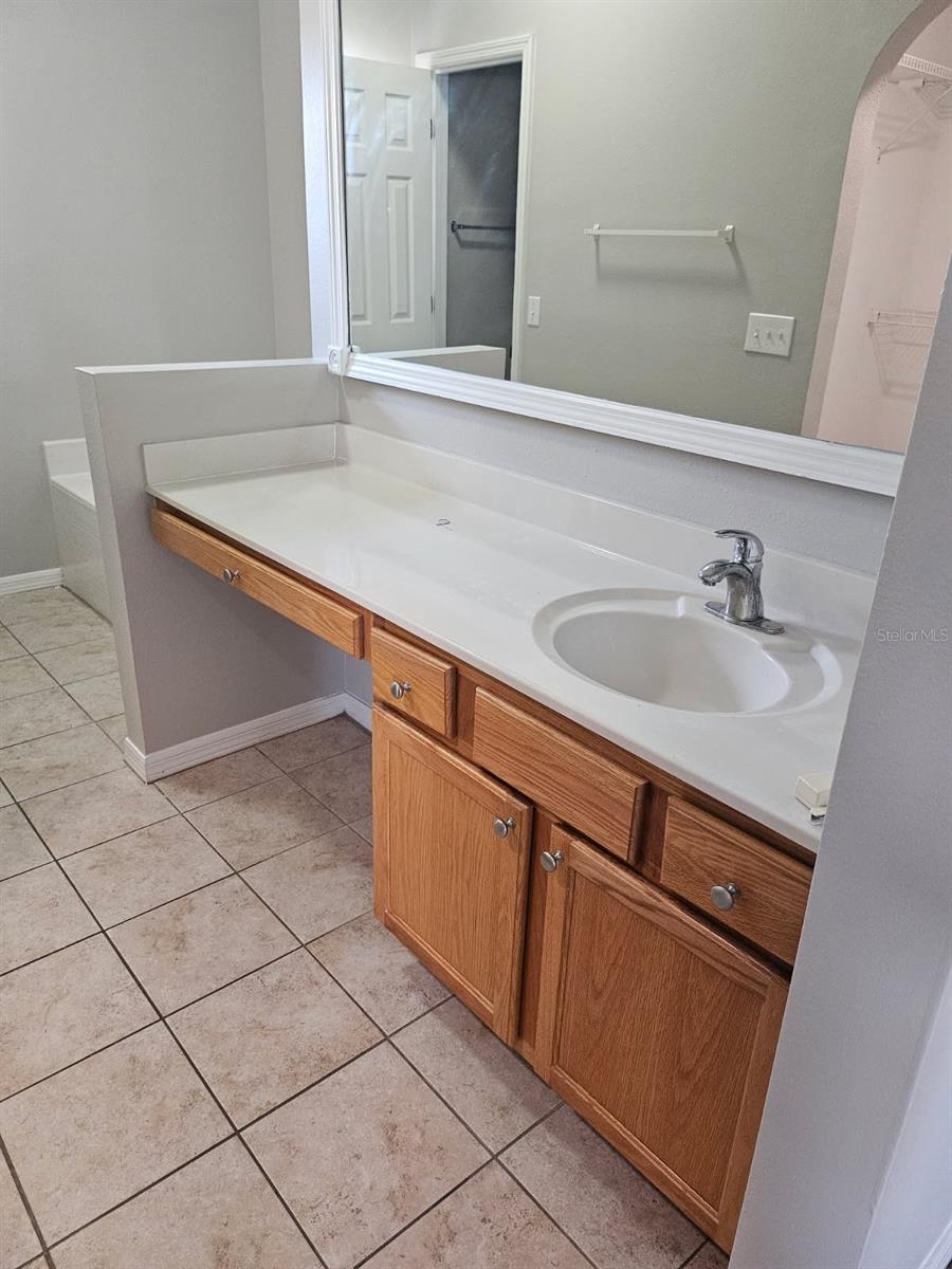 10917 BANYAN WOOD WAY, RIVERVIEW, FL, 33579