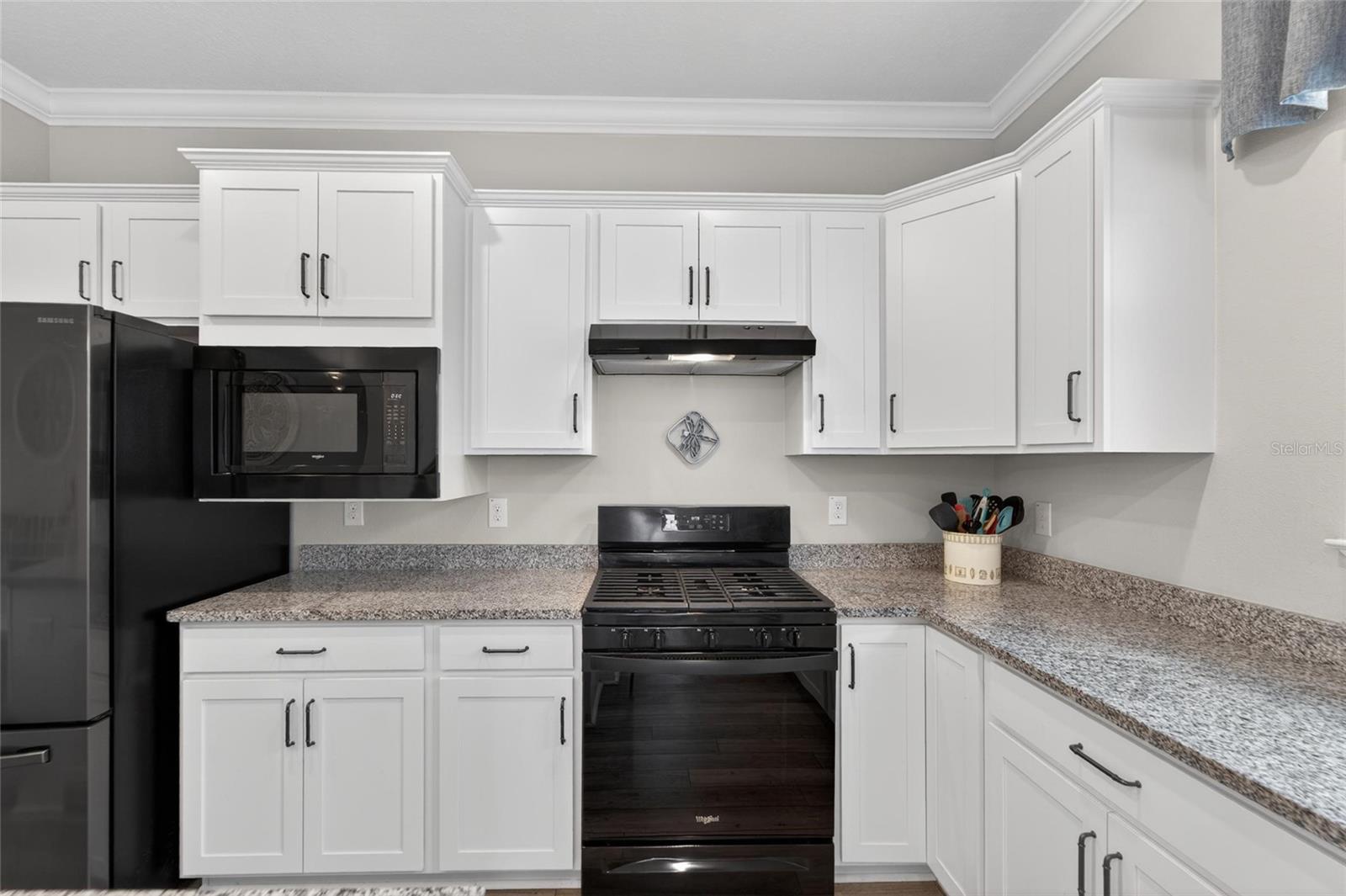 19474 SHIP WHEEL WAY, LAND O LAKES, FL, 34638