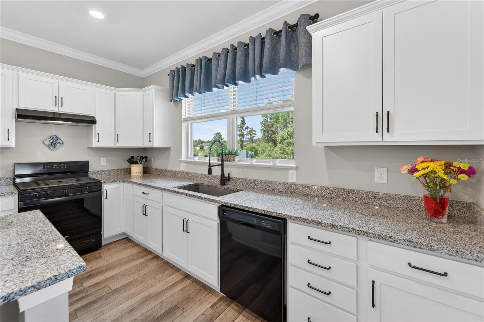 19474 SHIP WHEEL WAY, LAND O LAKES, FL, 34638