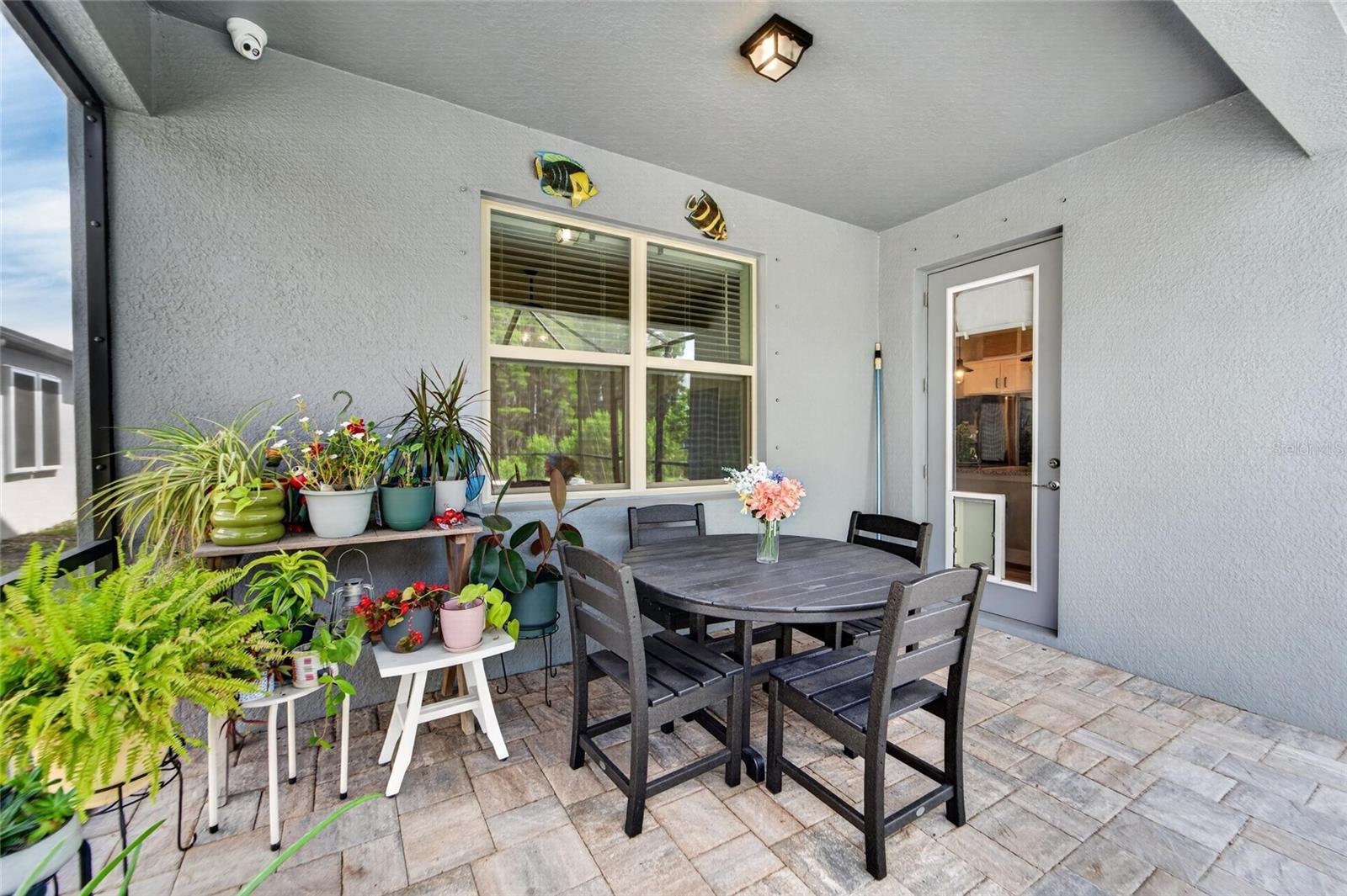19474 SHIP WHEEL WAY, LAND O LAKES, FL, 34638