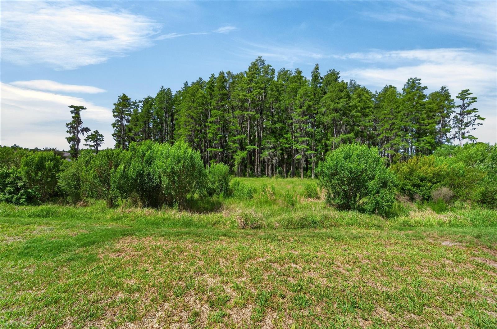 19474 SHIP WHEEL WAY, LAND O LAKES, FL, 34638