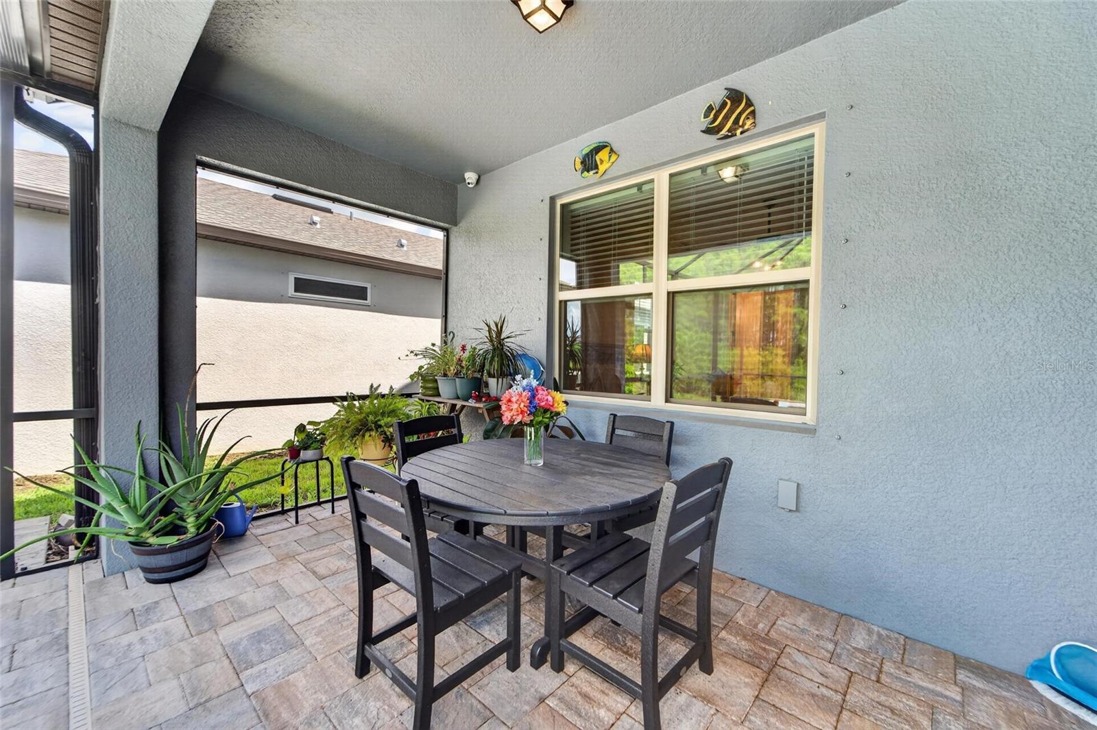19474 SHIP WHEEL WAY, LAND O LAKES, FL, 34638