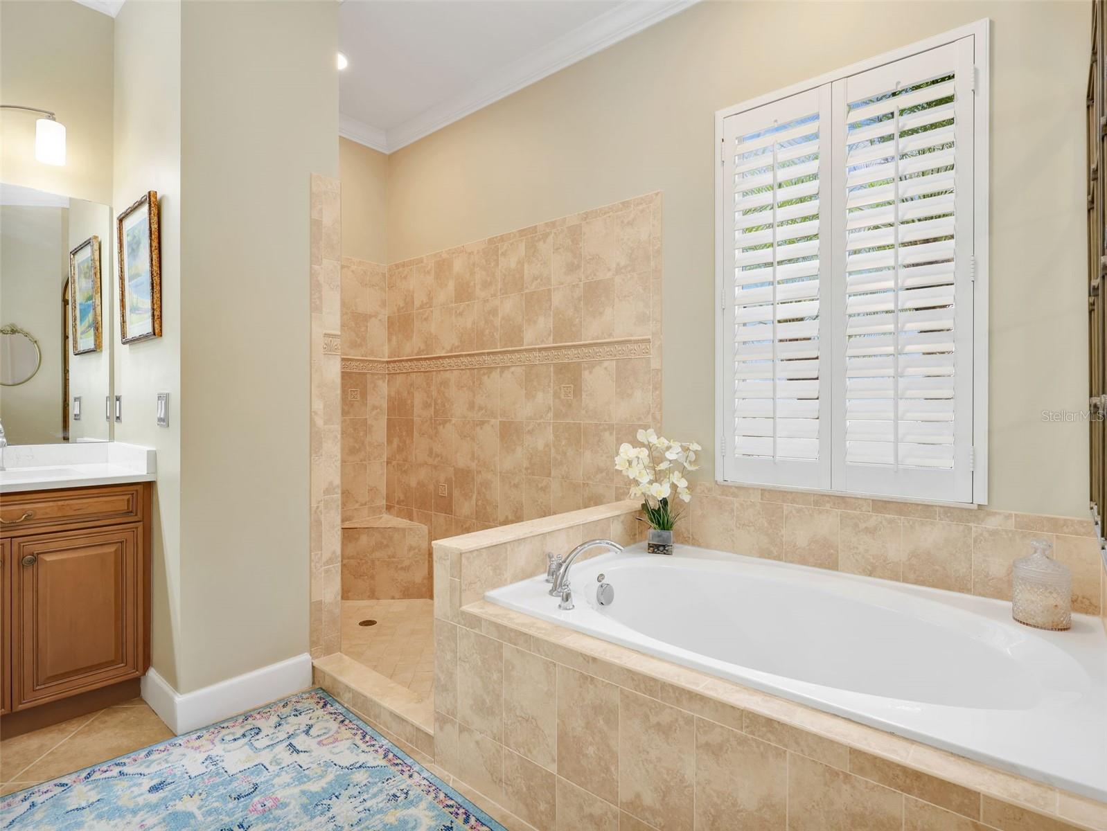 10323 WISHING STONE CT, BONITA SPRINGS, FL, 34135