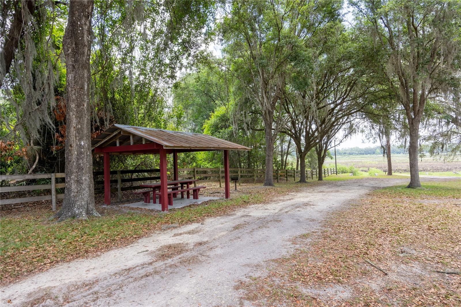 4950 SW 80TH ST, CHIEFLAND, FL, 32626