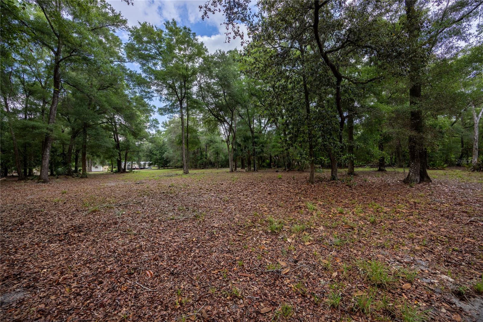 4950 SW 80TH ST, CHIEFLAND, FL, 32626