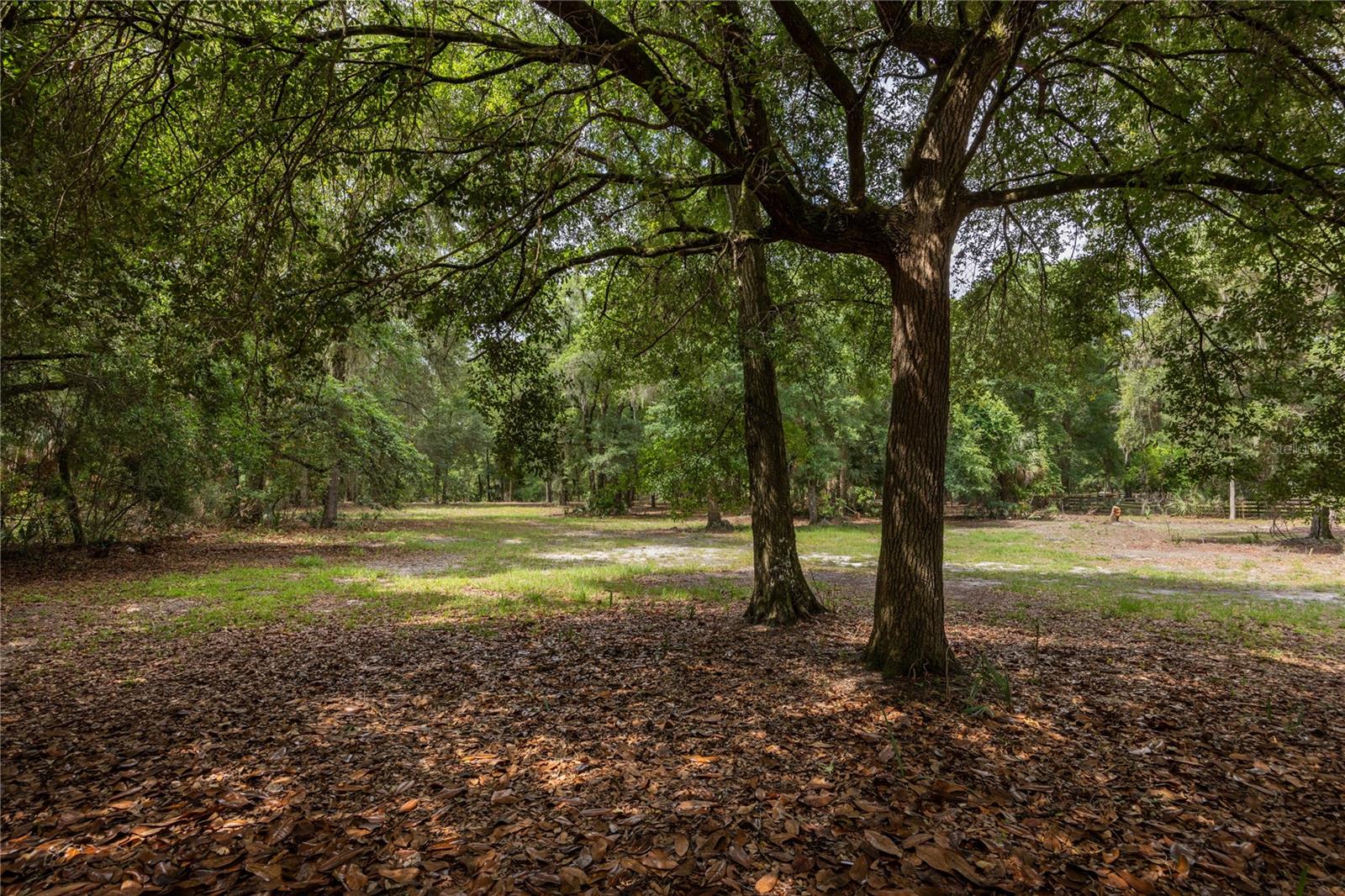 4950 SW 80TH ST, CHIEFLAND, FL, 32626