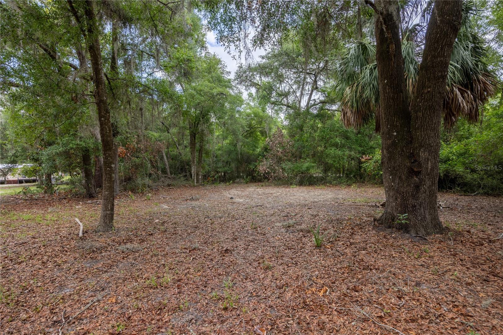 4950 SW 80TH ST, CHIEFLAND, FL, 32626