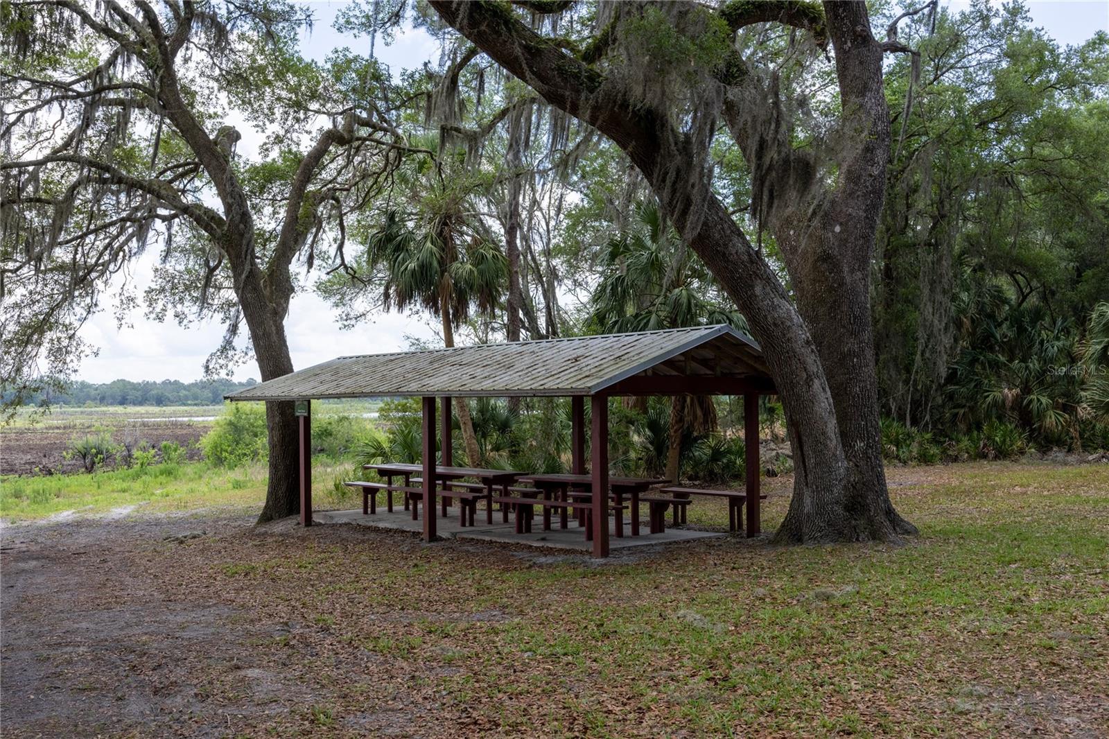 4950 SW 80TH ST, CHIEFLAND, FL, 32626