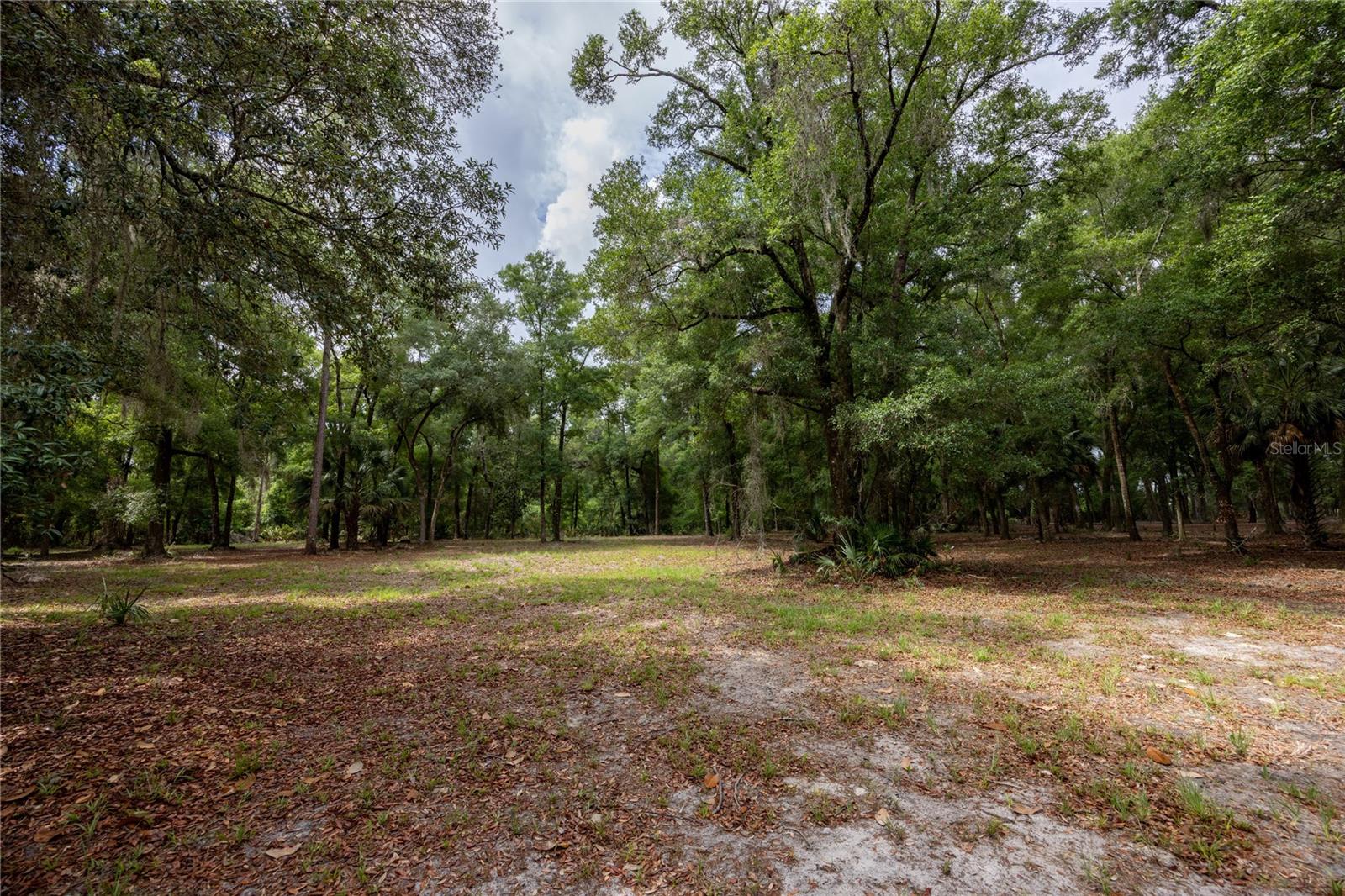 4950 SW 80TH ST, CHIEFLAND, FL, 32626