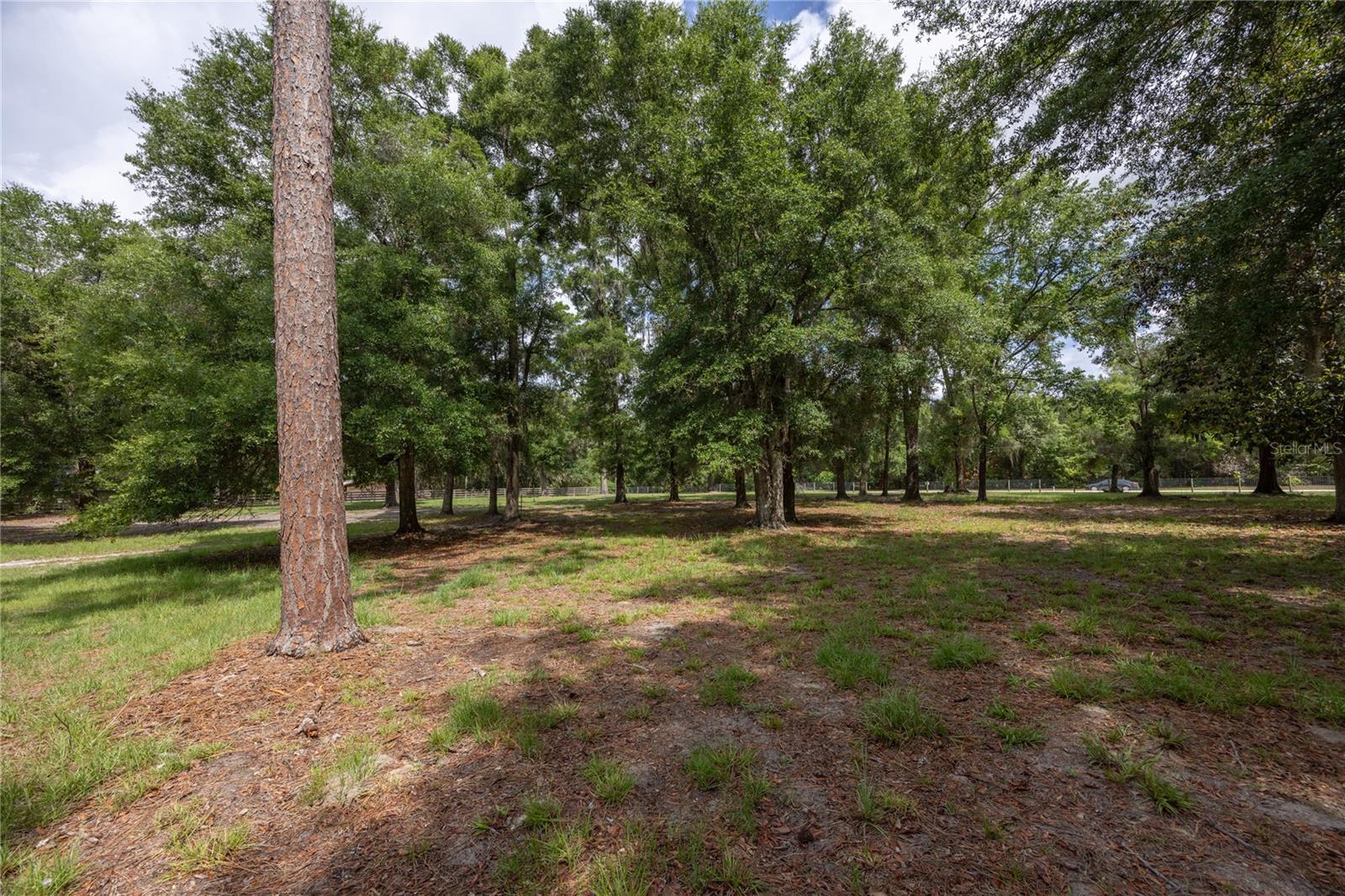 4950 SW 80TH ST, CHIEFLAND, FL, 32626