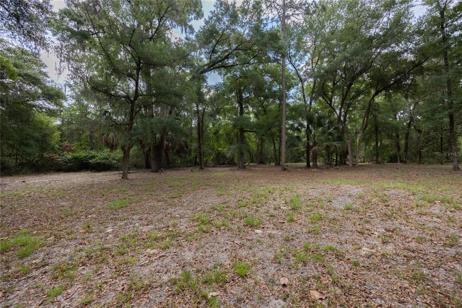 4950 SW 80TH ST, CHIEFLAND, FL, 32626
