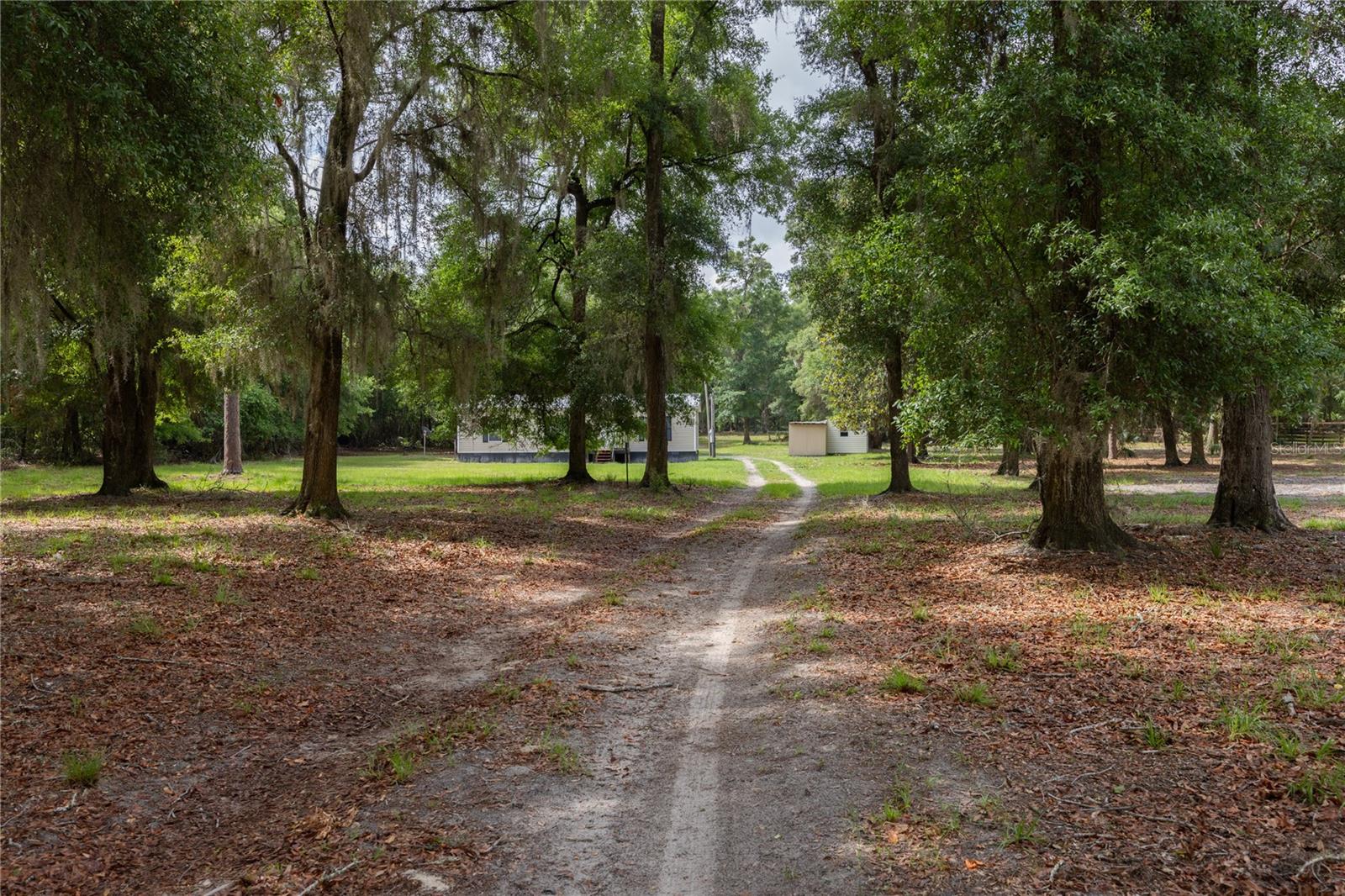 4950 SW 80TH ST, CHIEFLAND, FL, 32626