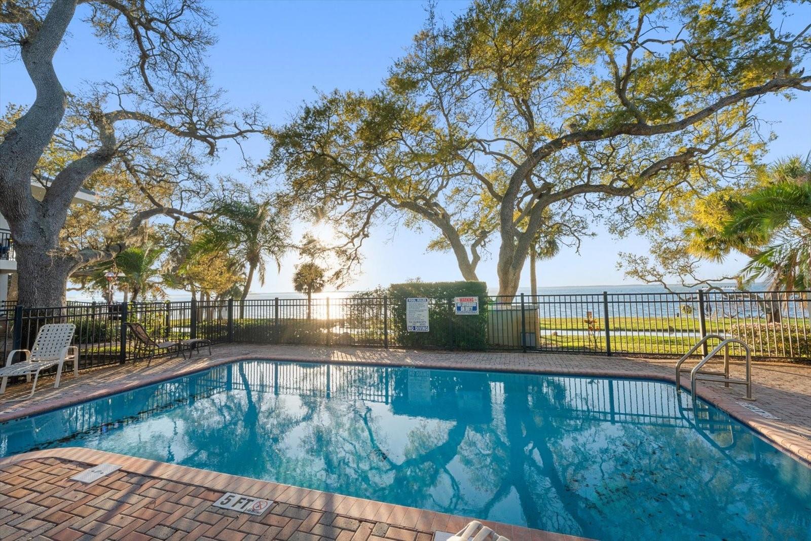 1101 VICTORIA DR #7, DUNEDIN, FL, 34698