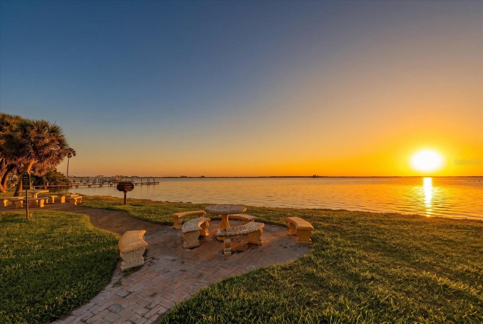 1101 VICTORIA DR #7, DUNEDIN, FL, 34698