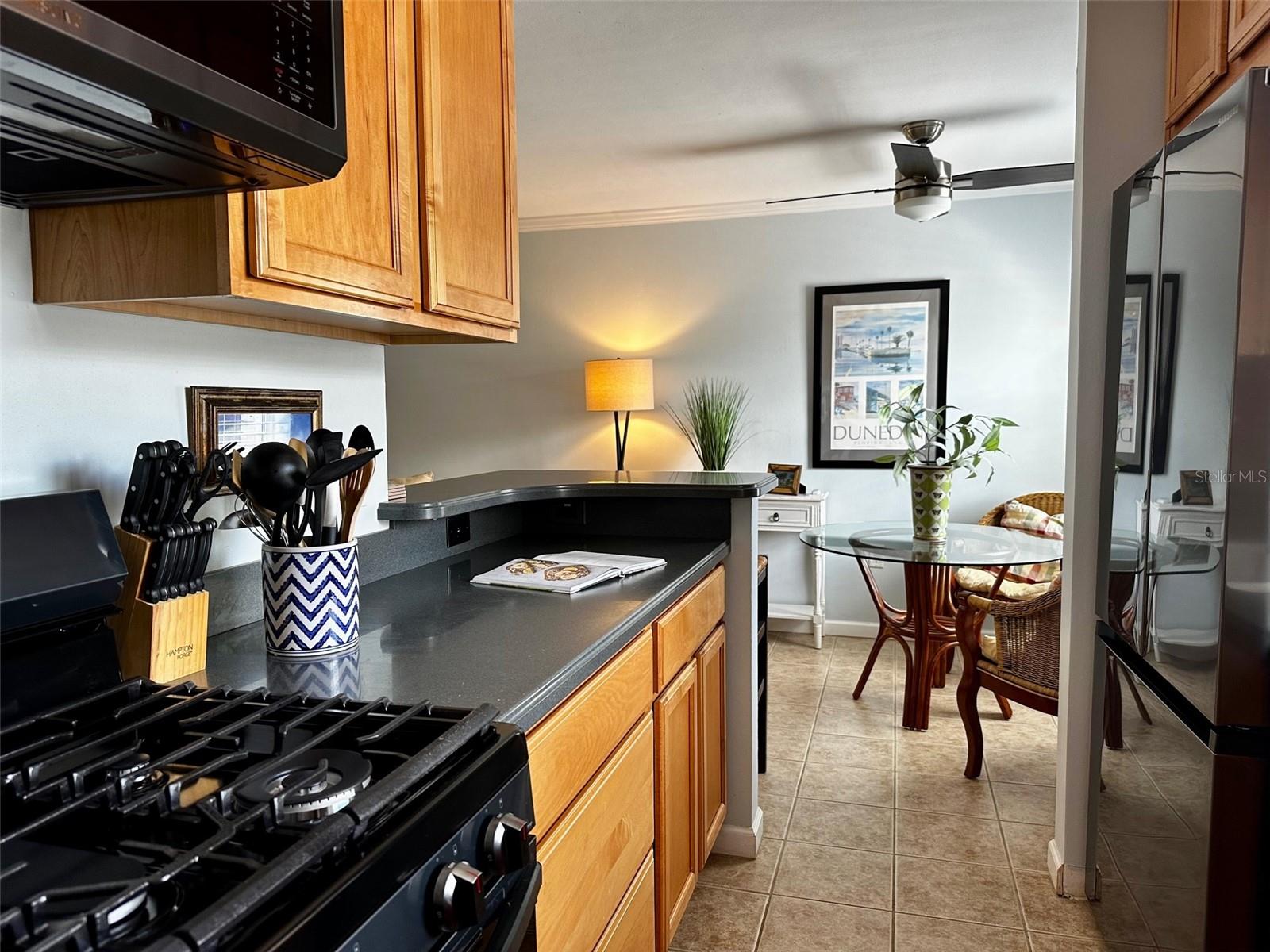 1101 VICTORIA DR #7, DUNEDIN, FL, 34698
