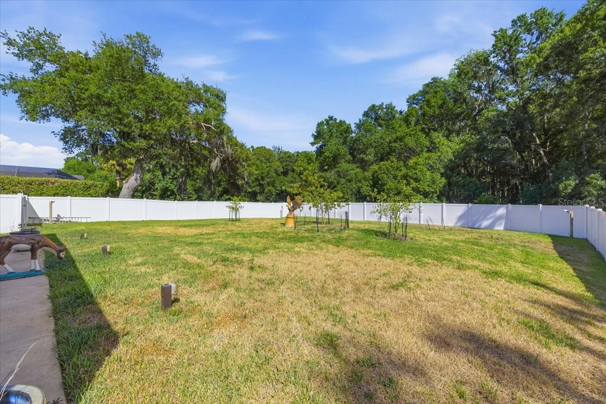 2818 SHIPSTON AVE, NEW PORT RICHEY, FL, 34655